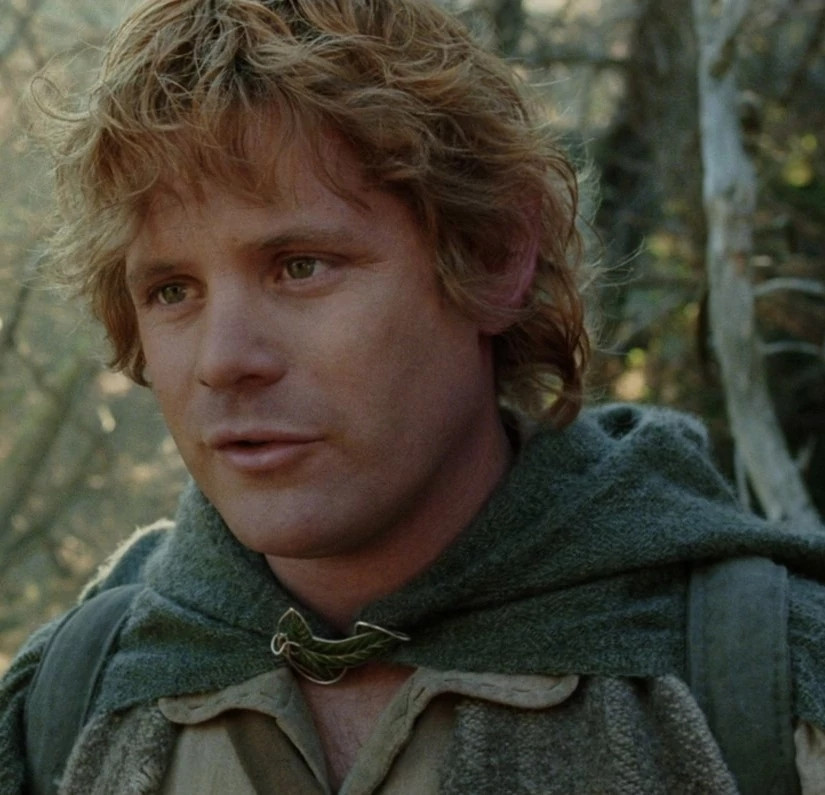 Samwise Gamgee from The Lord of the Rings