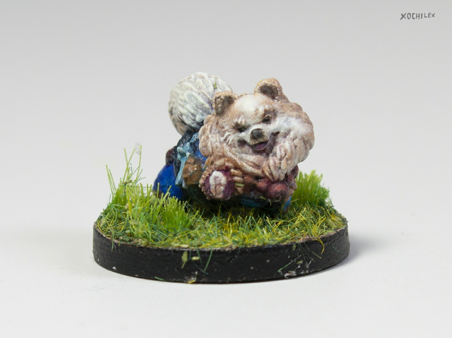 Photo of painted mini figure of a pomeranian wearing fantasy monk attire