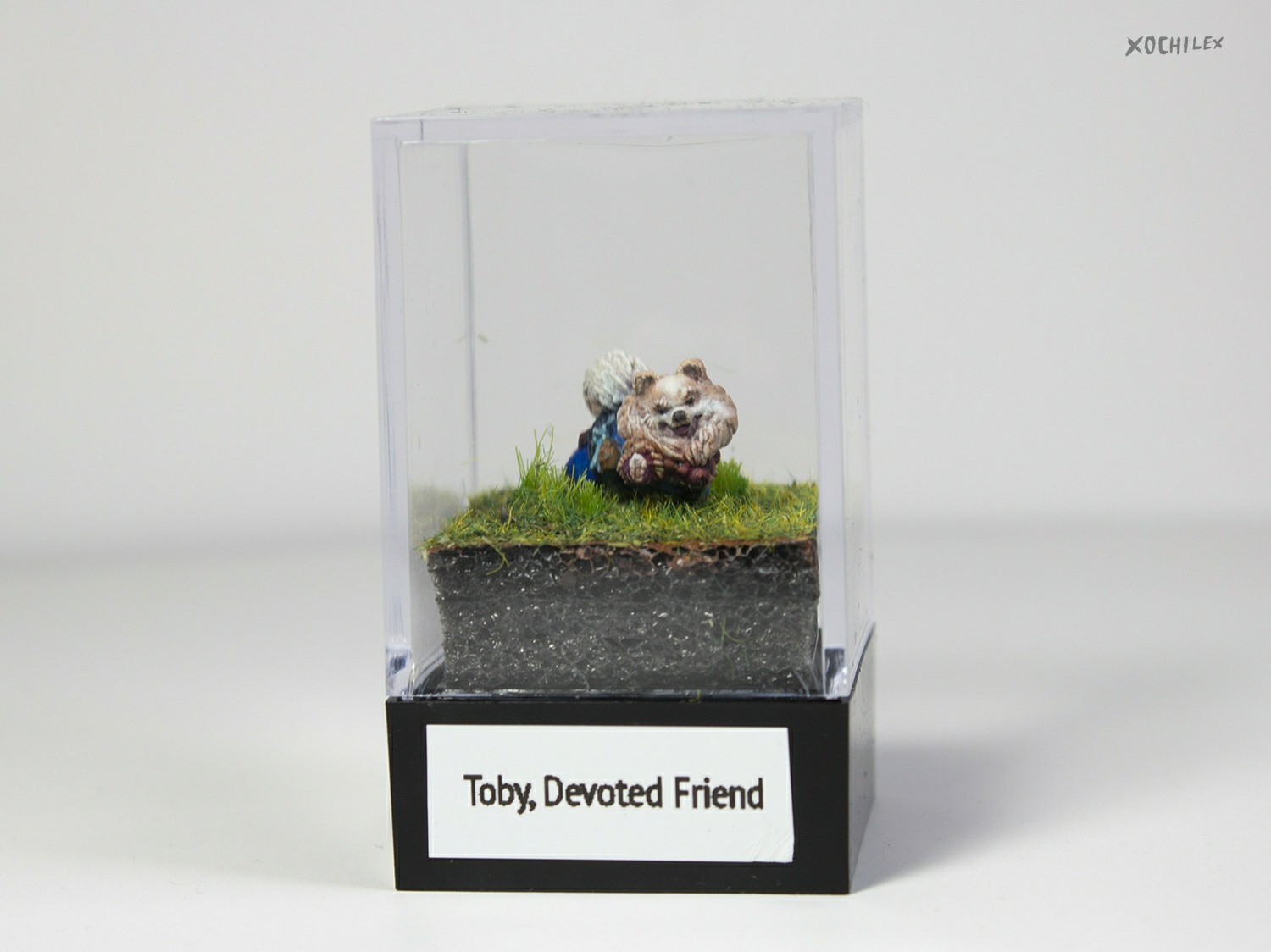 Photo of the same pomeranian mini figure. It is in a small clear plastic case. A label at the bottom reads "Toby, Devoted Friend"