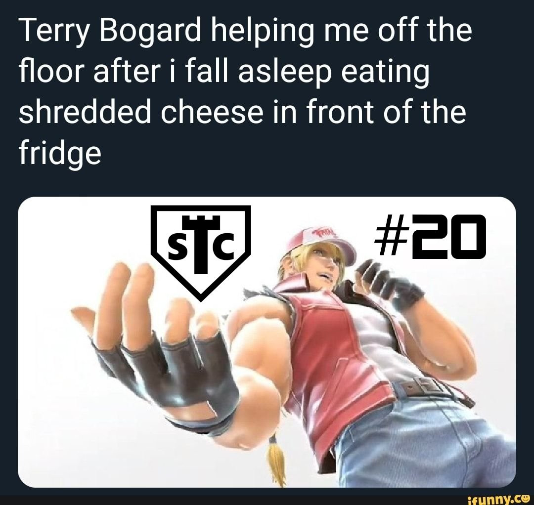 Terry bogard meme