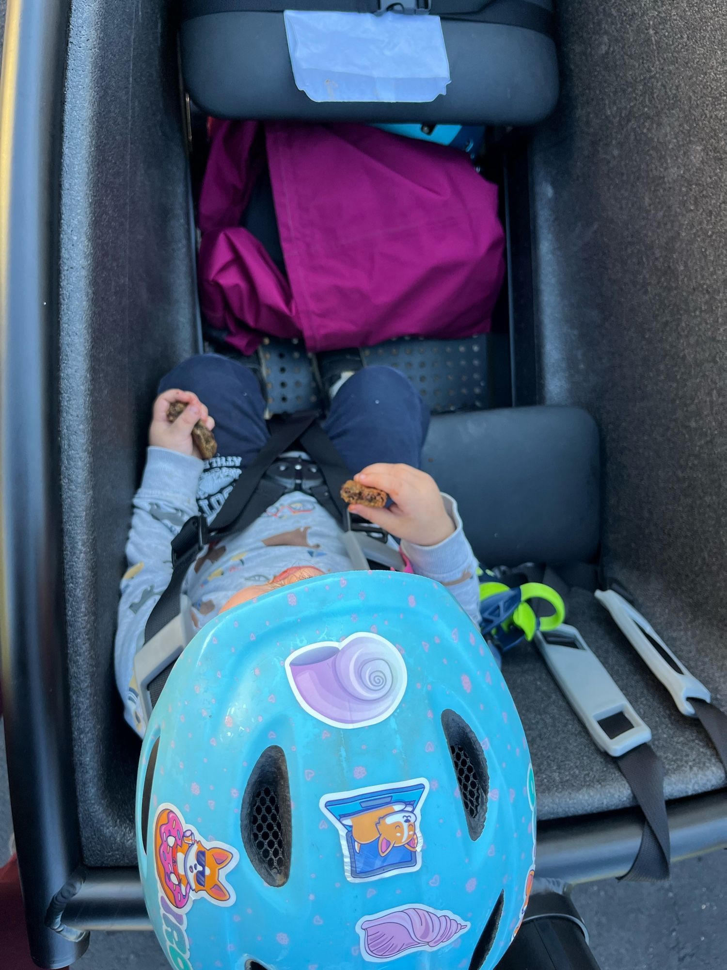 Top-down view of a small child in a cargo bike. They are wearing a turquoise helmet with corgi and shell stickers on, a great sweatshirt with dogs and bikes on, and navy pants. They are holding the remnants of a cookie in their chubby wee fists.