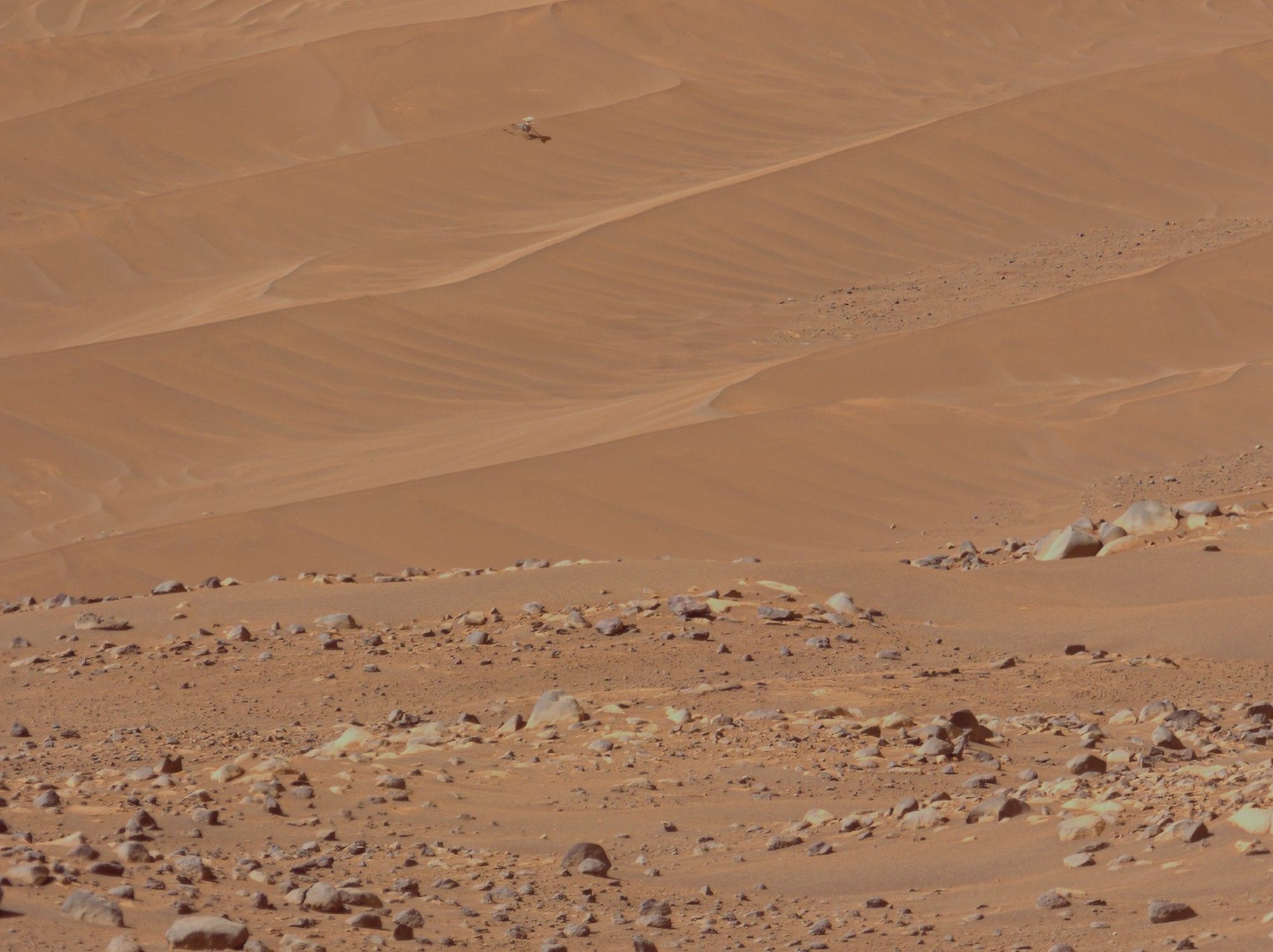 wider view of the previous image. Ginny is sitting in a large field of sand ripples.