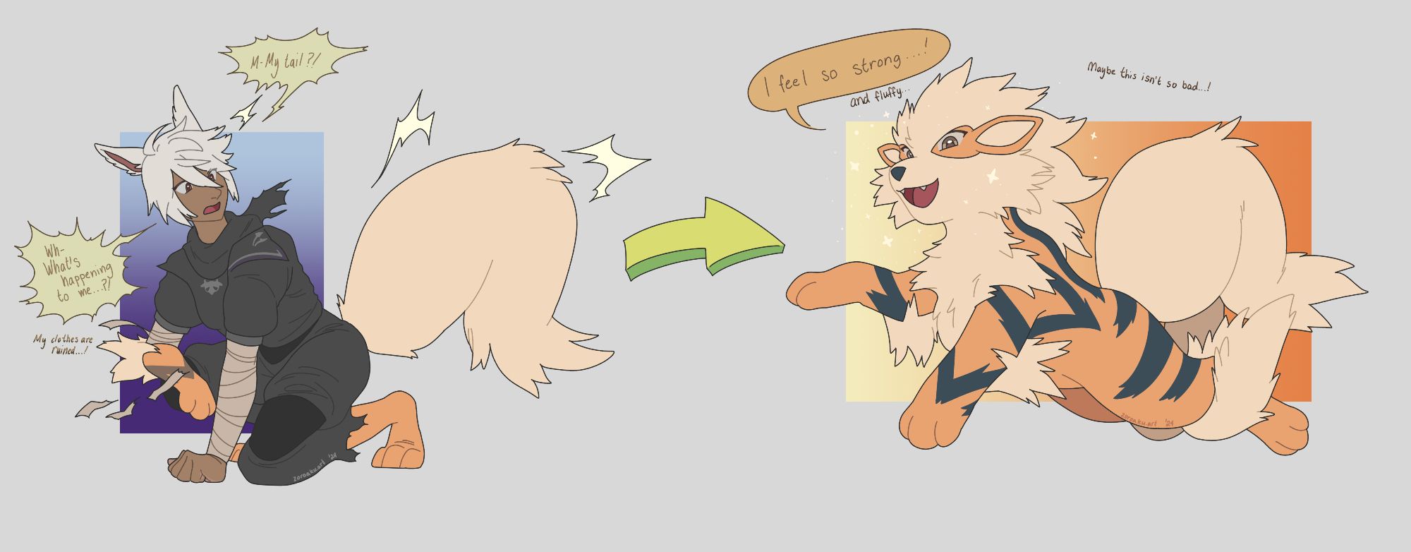 A two drawing sequence of a Miqo'te (a humanoid cat-like race from FFXIV) transforming into an Arcanine.

In the first drawing, the bandages/clothing on their left arm  and legs burst to reveal new Arcanine paws, their cat tail turns into an Arcanine tail. They're exclaiming, "M-My tail?! Wh-What's happening to me...?! My clothes are ruined...!"

In the second drawing, they're leaping in their new Arcanine body, saying, "I feel so strong...! And fluffy... Maybe this isn't so bad...!"

---
Tags:
#art #furry #furryart #ffxiv #miqote #arcanine #pokemon #pokemonTF #transfur