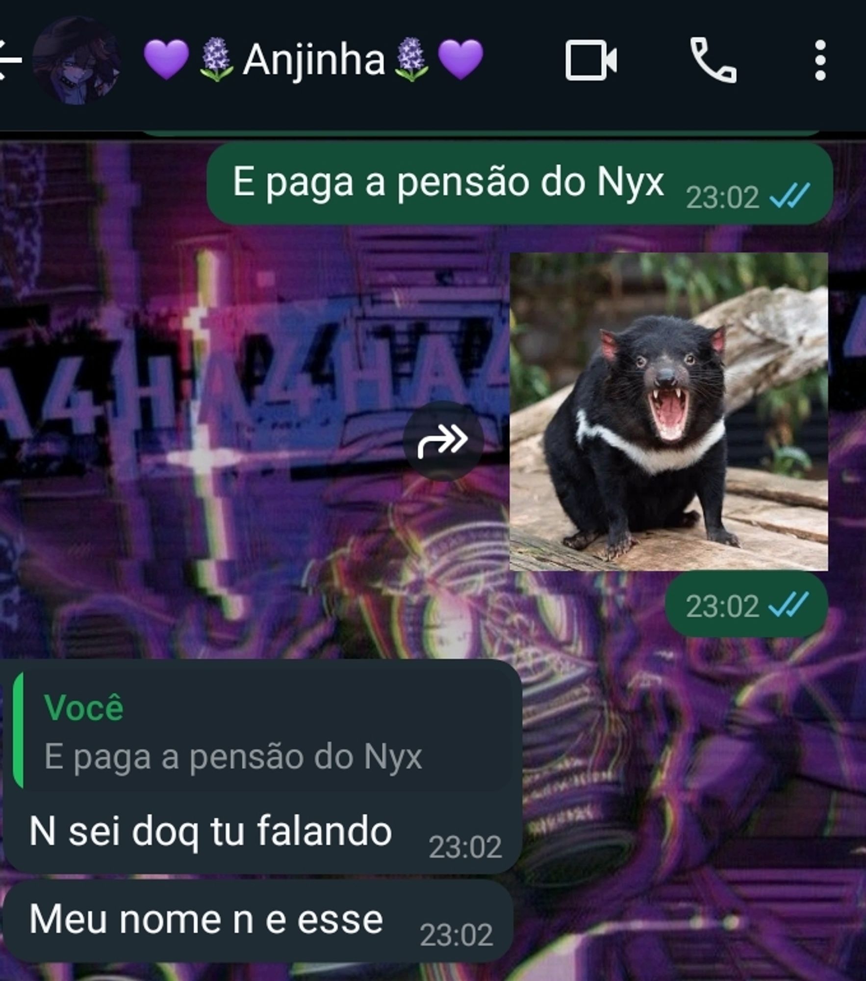 PAGA A PENSÃO VIOLETA