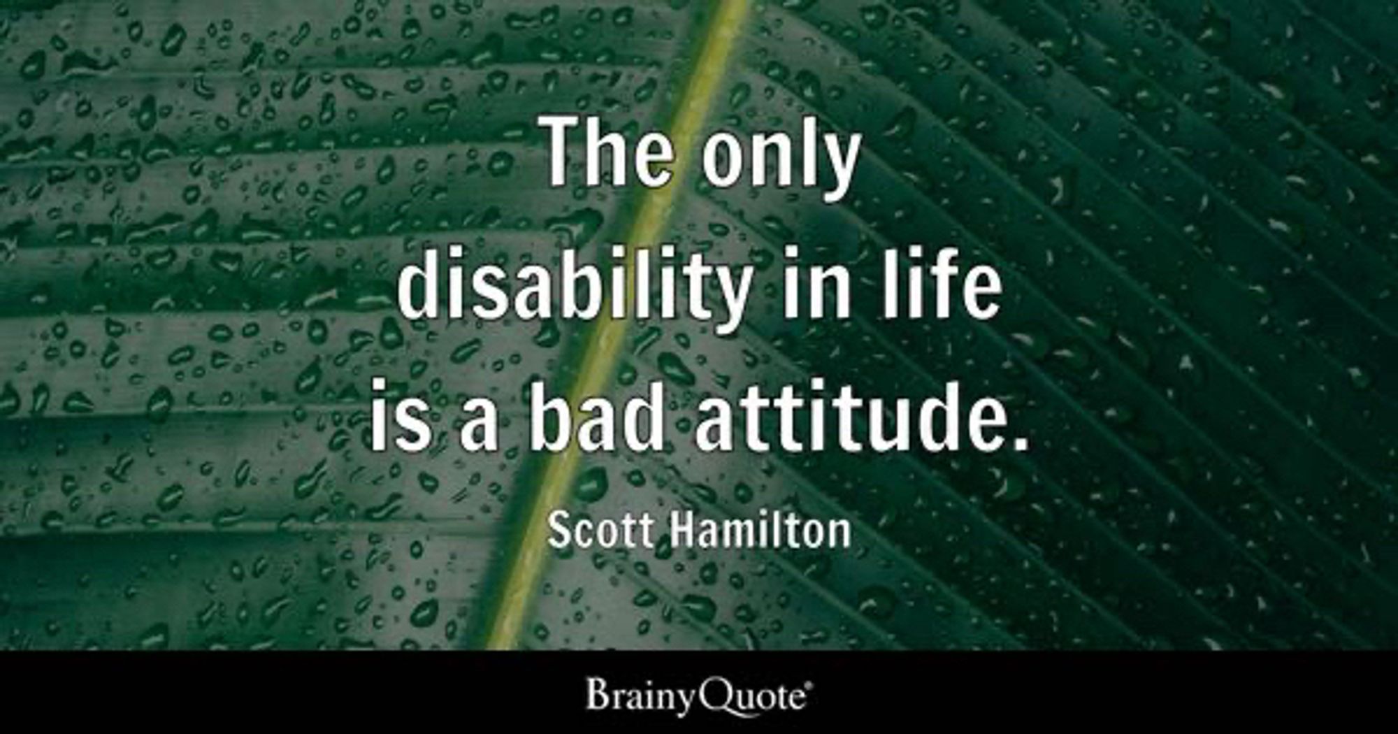 The only disability in life is a bad attitude. 
-Scott Hamilton  

The quote is in white letters on a green leaf that has raindrops on it.