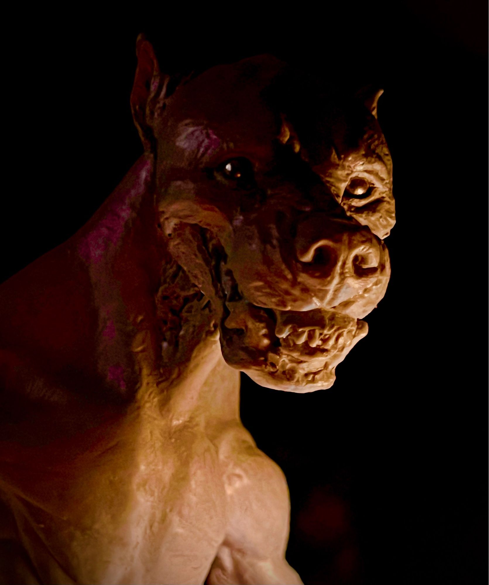 Dramatically lit photo of a the head and shoulders of a were sculpture. She is baring her teeth in a snarl that lifts her lips up, showing her gums. Her tongue is slightly sticking out between her top and bottom incisors. She has a head that has humanoid and canid features; her ears are small and her skull is much more rounded than a wolf’s. She is bipedal and has long, lithe limbs.