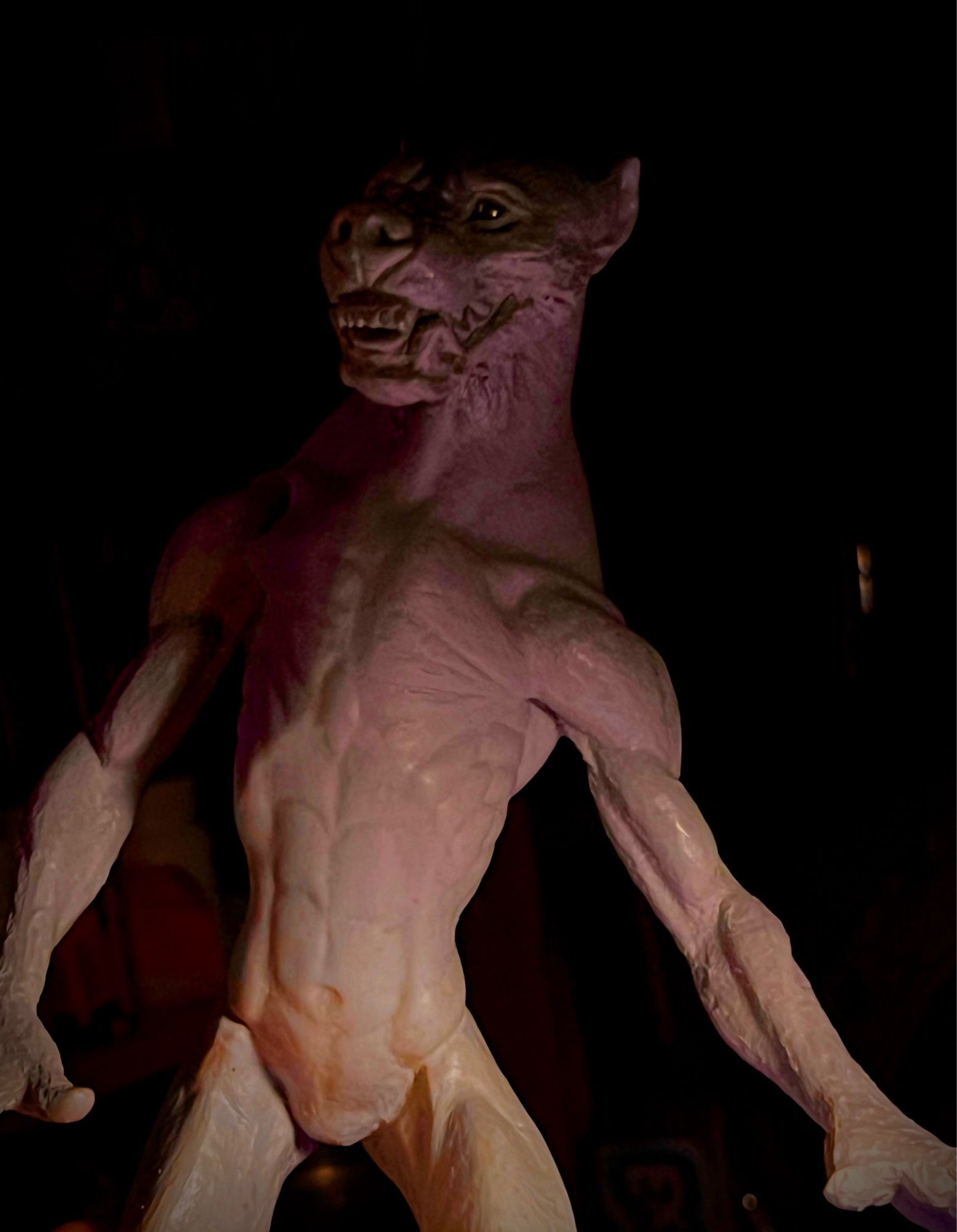 Dramatically lit photo of a the head and torso of a werewolf sculpture. She is baring her teeth in a snarl that lifts her lips up, showing her gums. Her tongue is slightly sticking out between her top and bottom incisors. She has a head that has humanoid and canid features; her ears are small and her skull is much more rounded than a wolf’s. She is bipedal and has long, lithe limbs and a lean physique. Her arms end in appendages that are somewhere between paws and human hands.