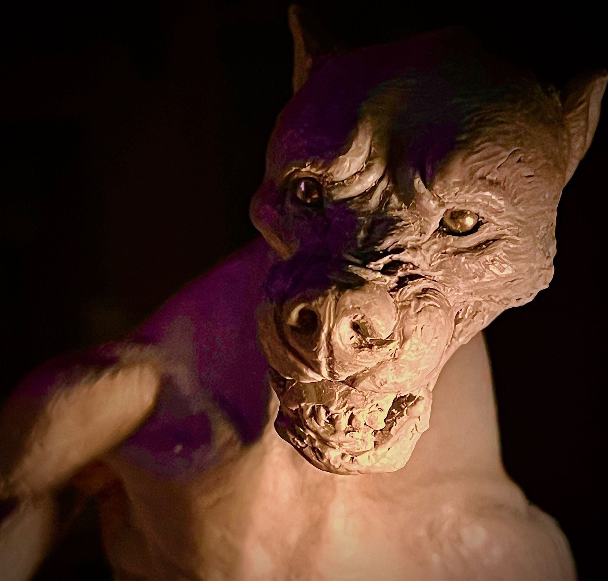 Dramatically lit photo of a the head and shoulders of a were sculpture. She is baring her teeth in a snarl that lifts her lips up, showing her gums. Her tongue is slightly sticking out between her top and bottom incisors. She has a head that has humanoid and canid features; her ears are small and her skull is much more rounded than a wolf’s. She is bipedal and has long, lithe limbs.