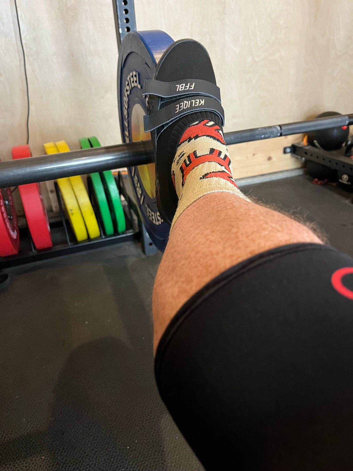 Foreleg with shoe resting on a 20kg plate on a barbell. Barbell resting on catch bar in squat cage.