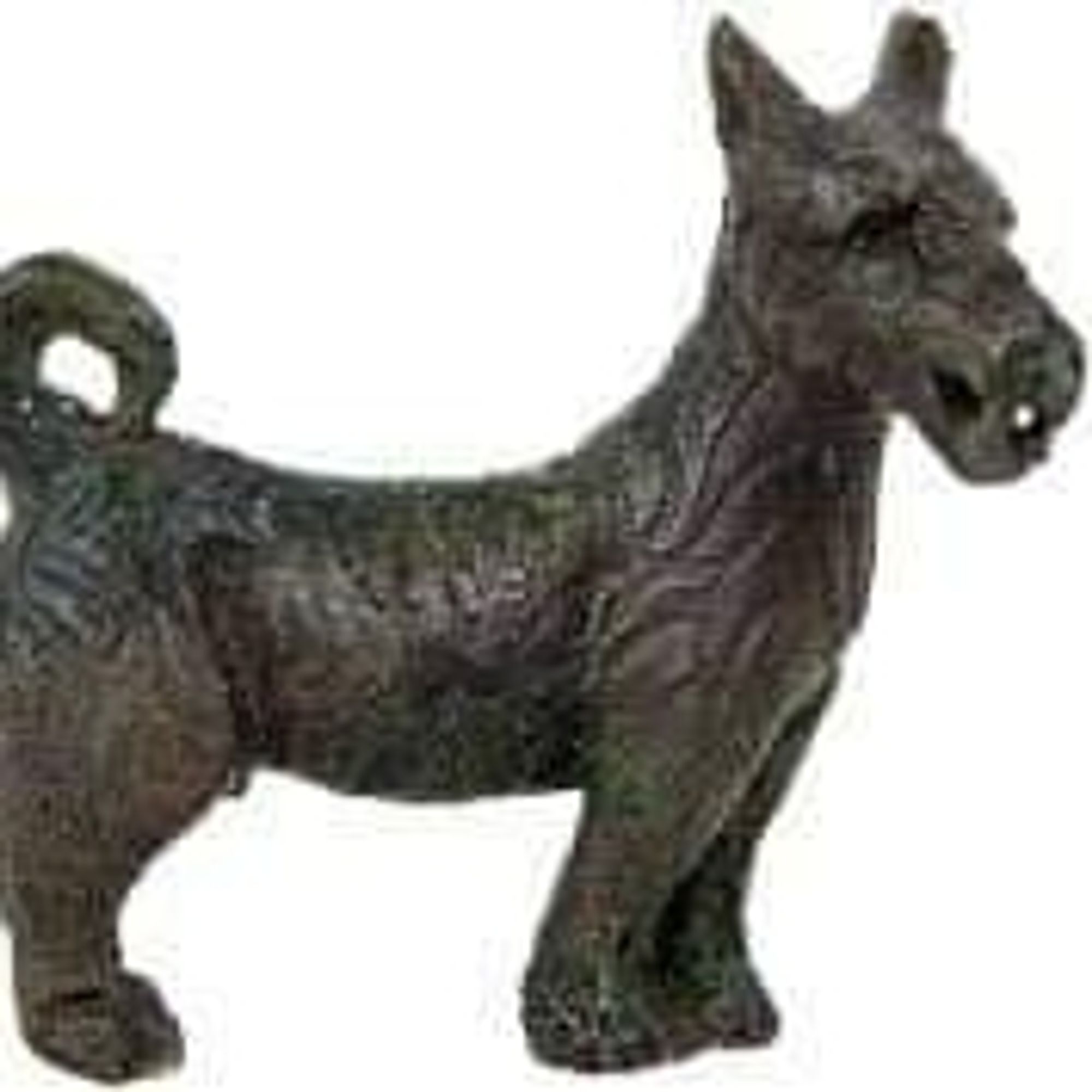 A Canine Journey Through Time: From the Carrawburgh Figurine to the Scottish Terrier.

Left: A dog figurine, an archaeological treasure discovered in Carrawburgh, Great Britain, dating back to the 2nd/4th century AD. Right: a Scottish Terrier, photographed in 1905. The resemblance between these two dogs is striking, despite the 1500 years that separate them. It could be a matter of selective convergence, that evolutionary phenomenon in which two breeding lines, independent in place and time, achieve similar results. 1/2