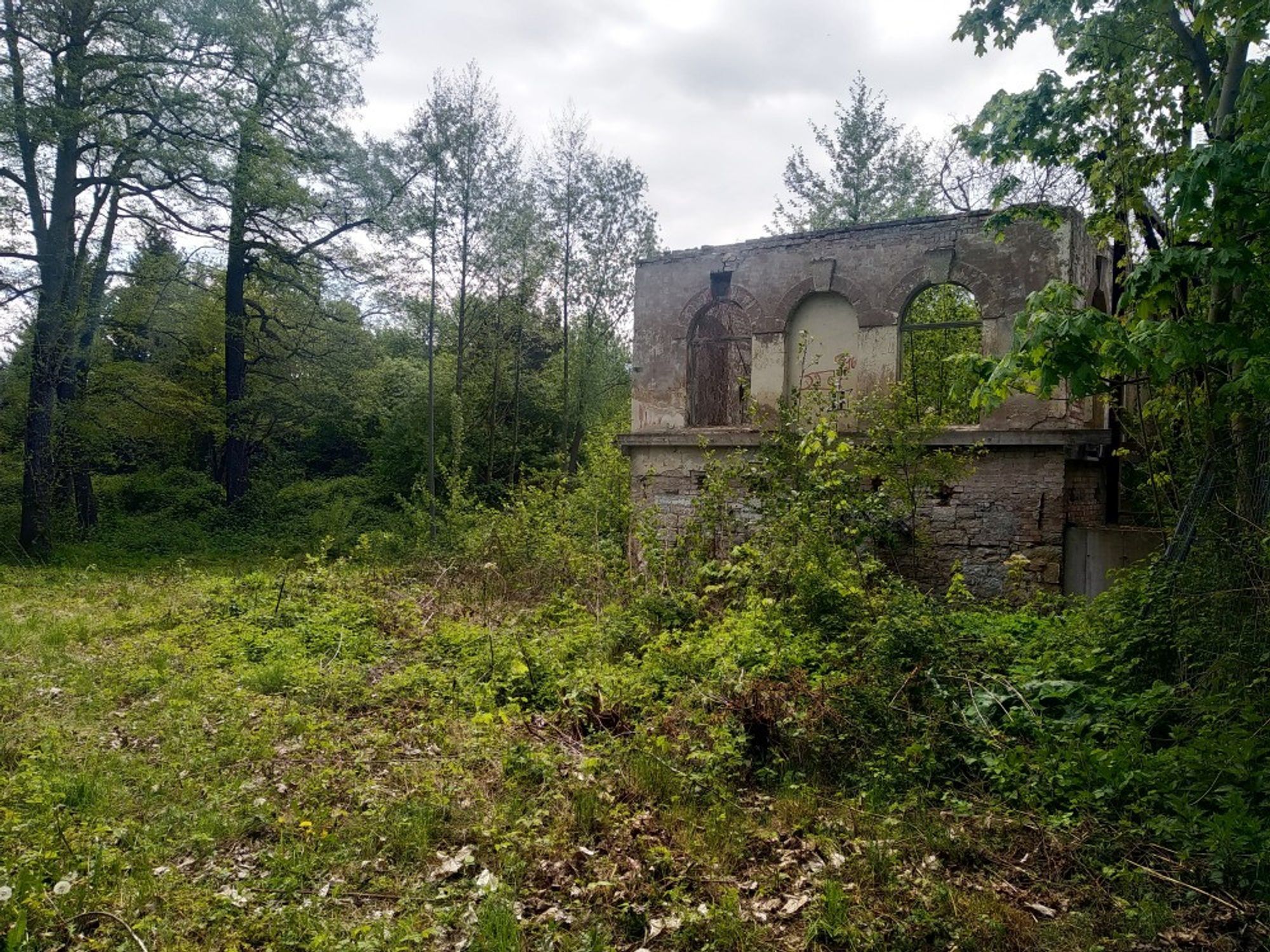 Ruine des Grundschlösschens, links im Hintergrund der Gondelteich