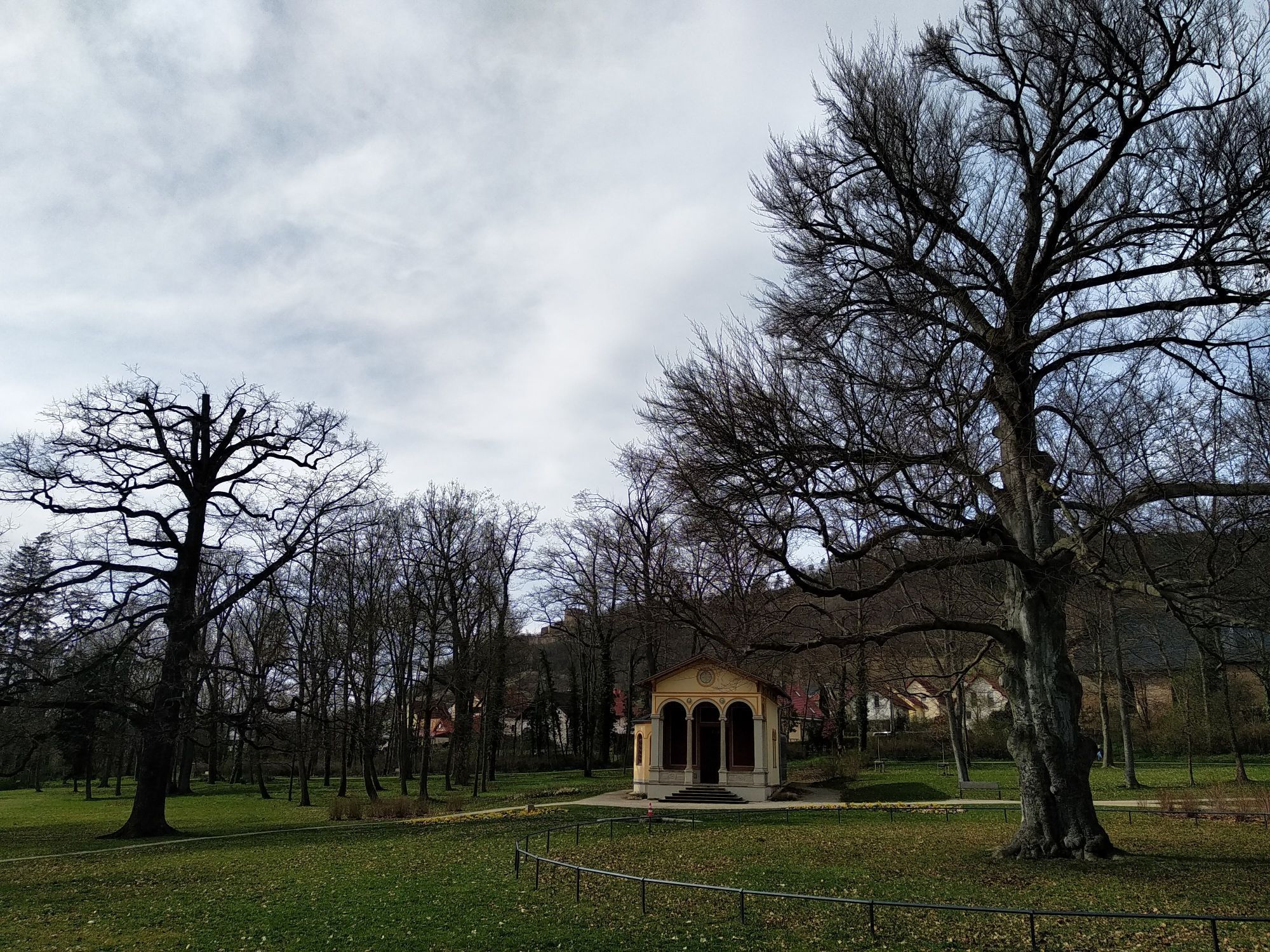 Blick auf 2 der "alten Damen" = Blutbuche und Stieleiche, beide ca. 180 Jahre alt und das Teehaus im Drackendorfer Park während Arbeitsbesprechung am 27. März