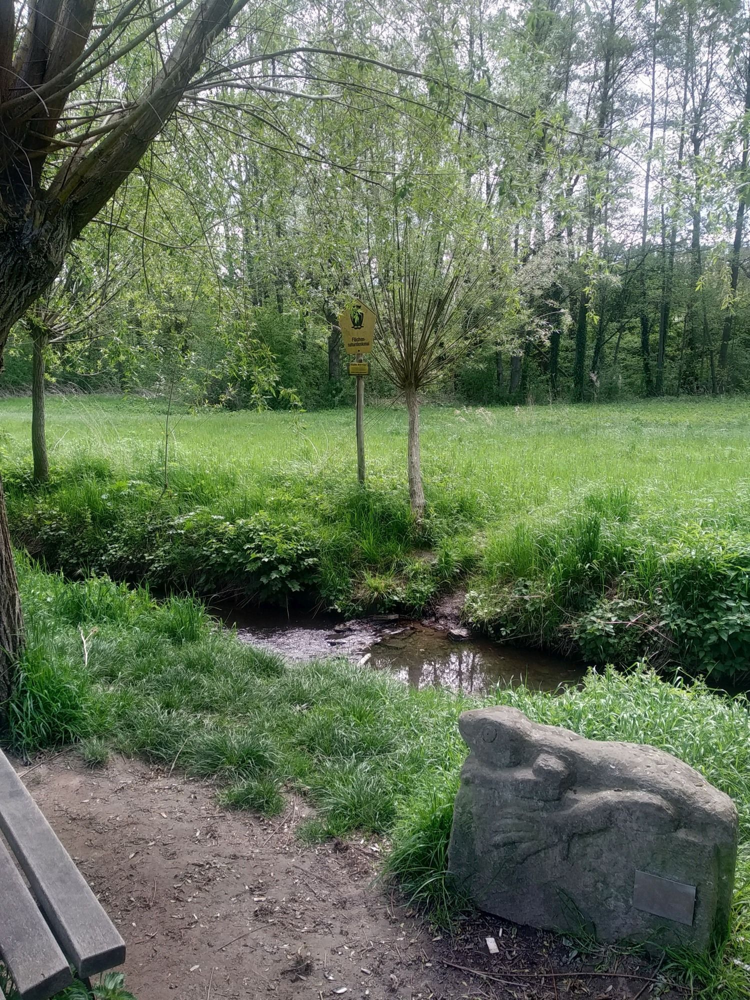 Flächennaturdenkmal Tiefe Börner in Mockritz, davor der Kaitzbach und der Echse von Christa Donner aus dem Kunstprojekt "Mnemosyne"