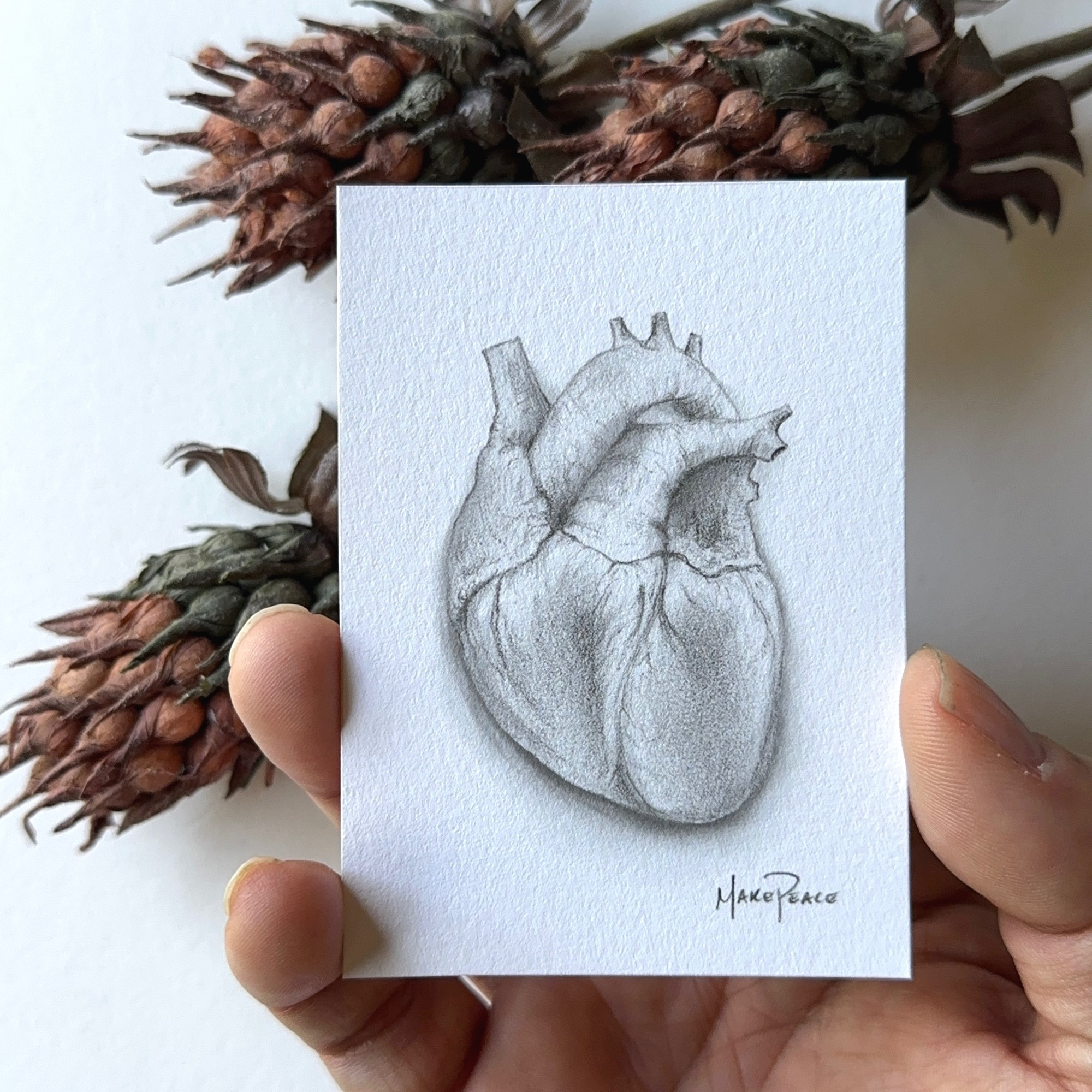 Hand holding a mini art print of an anatomical heart drawing. Dried flowers lay in the background