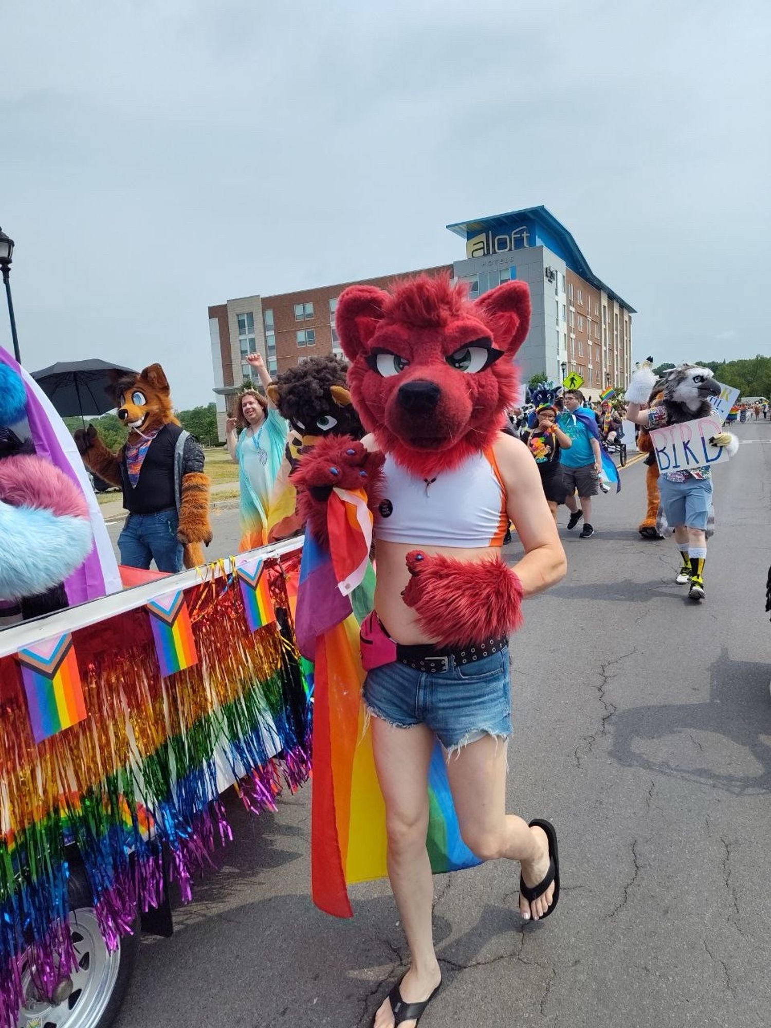 A person walking next to a LGBTQ-themed parade float. They’re wearing a fursuit head and handpaws of a red wolf, as well as a fox-patterned sports bra, short shorts, and flip flops. They carry a rainbow flag in their right hand.