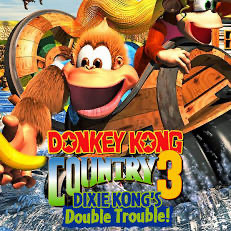 Donkey Kong Country 3 cover art