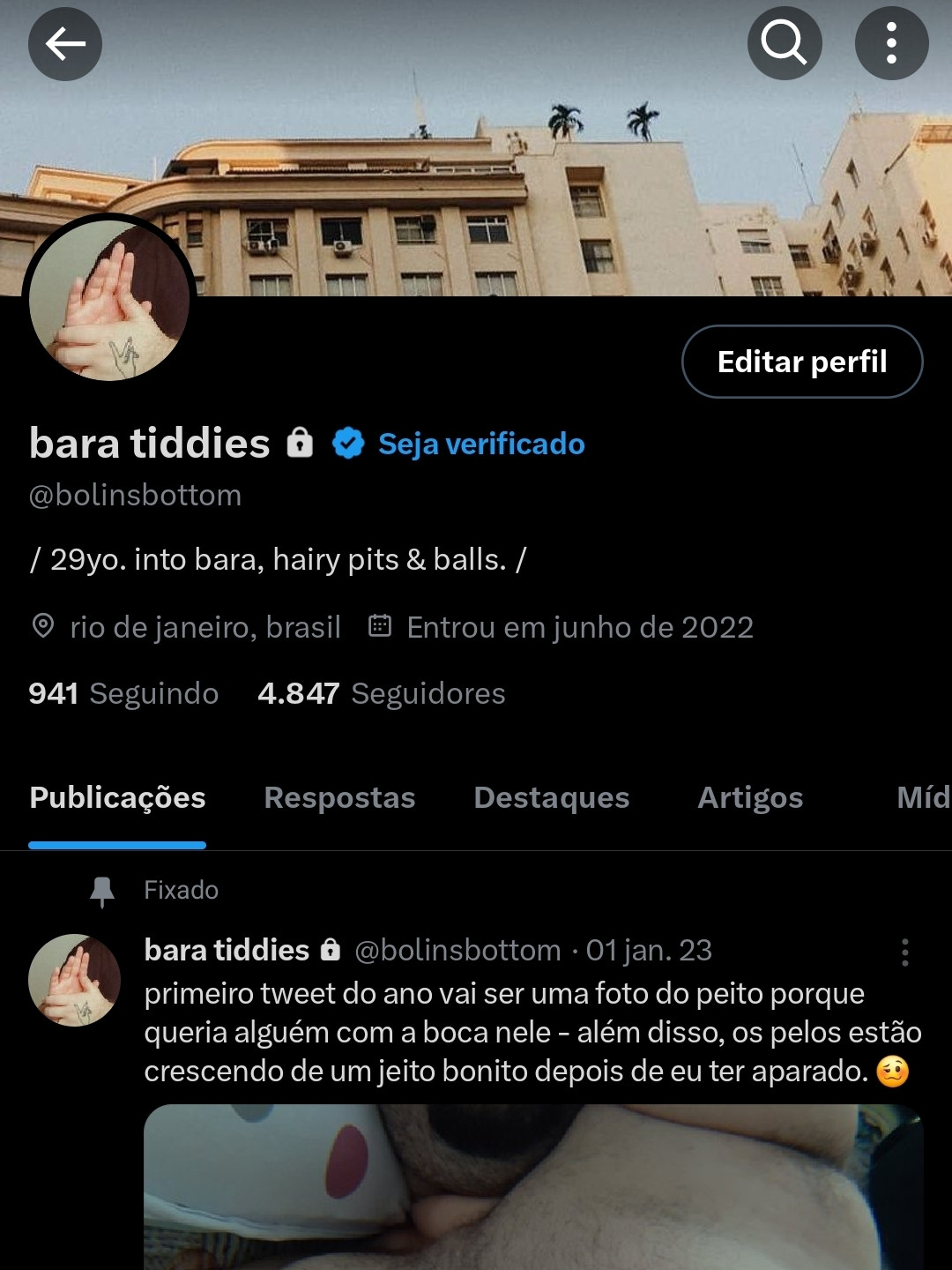 print de perfil da rede x, conhecida anteriormente como twitter, divulgando o perfil @baratiddies