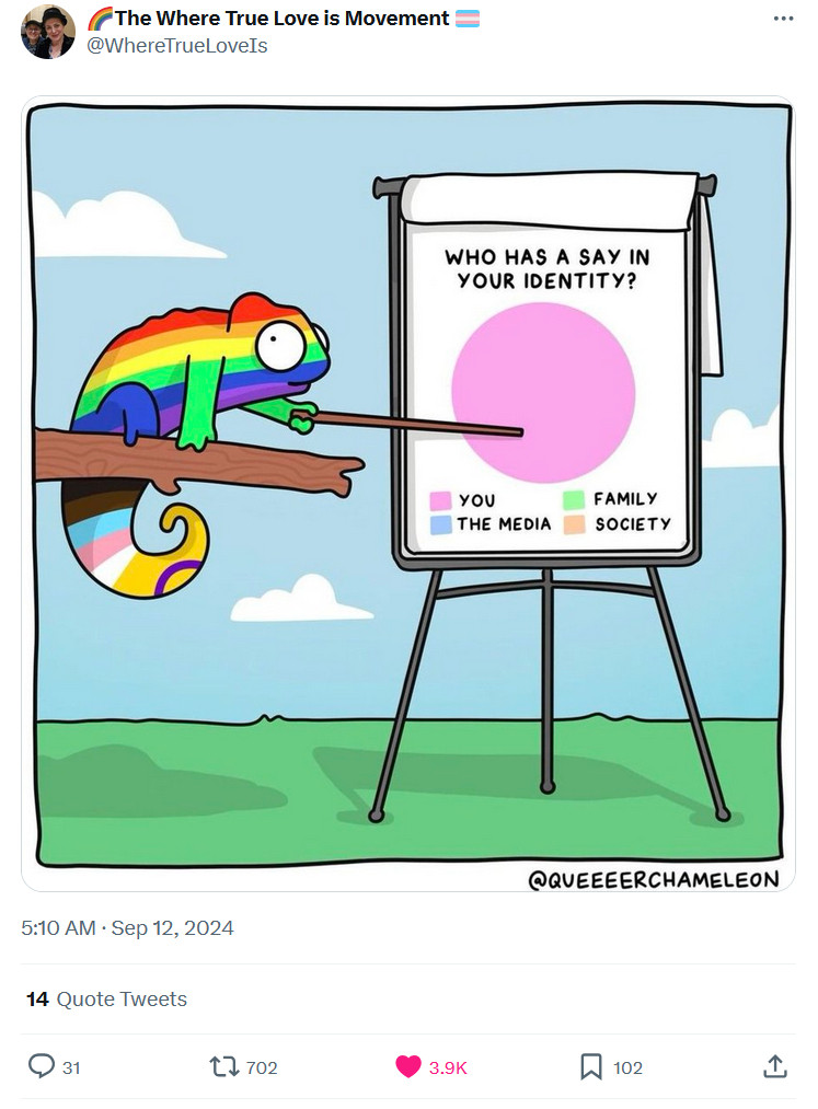 Rainbow chameleon sitting on tree branch with a pointer pointing to a chart which says "Who Has A Say In Your Identity, with choices Pink (You), Green (Family), Blue (The Media), Orange (Society). The pie chart in the middle is completely "Pink". (c)QueerChameleon