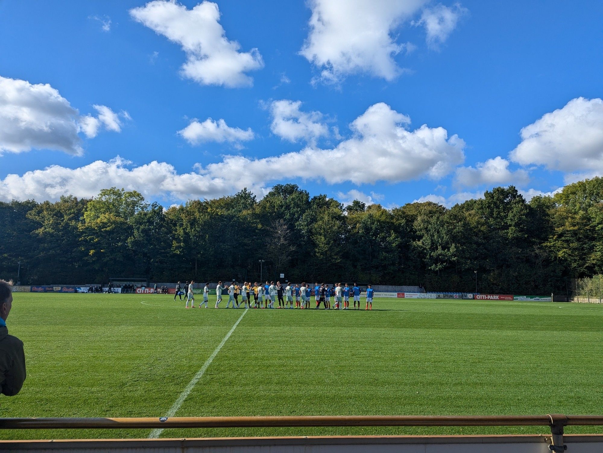 Blick auf einen Fußballplatz umringt von Bäumen, Werder Bremen U23 gegen Holstein Kiel U23