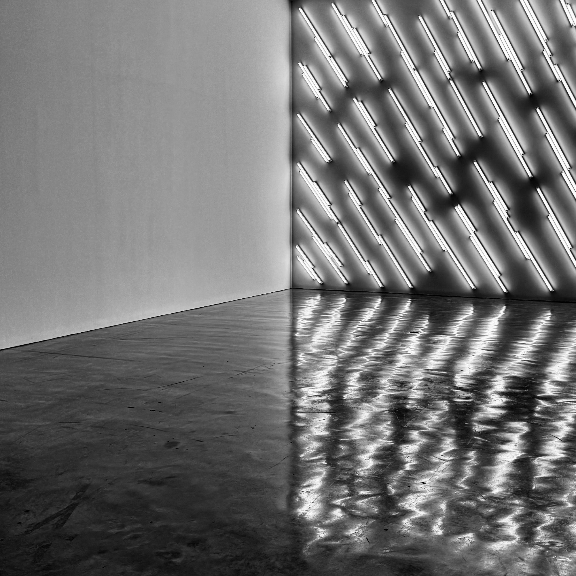 GPT-4o: The black-and-white image depicts an empty corner of a room with a polished, reflective floor. On one wall, there are diagonal rows of fluorescent light tubes, emitting a soft glow that casts both shadows and reflections on the floor. The adjacent wall is plain and unadorned, creating a stark contrast with the illuminated side. The reflections on the floor give the scene a sense of depth and subtle distortion, adding to the minimalist and geometric composition of the space. The overall atmosphere is modern, clean, and abstract.