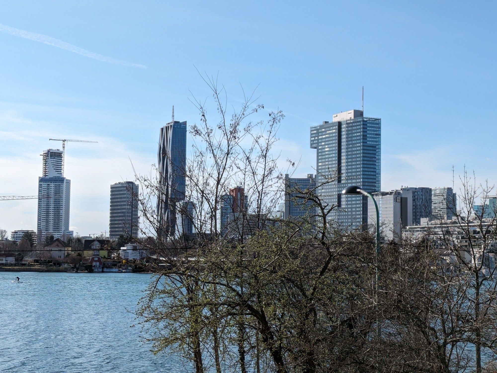 Wasser, die alte Donau, dahinter Hochhäuser, davor ein Baum, blauer Himmel