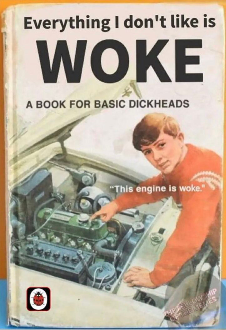 Book cover, titled "Everything I don't like is WOKE.  A book for basic dickheads"