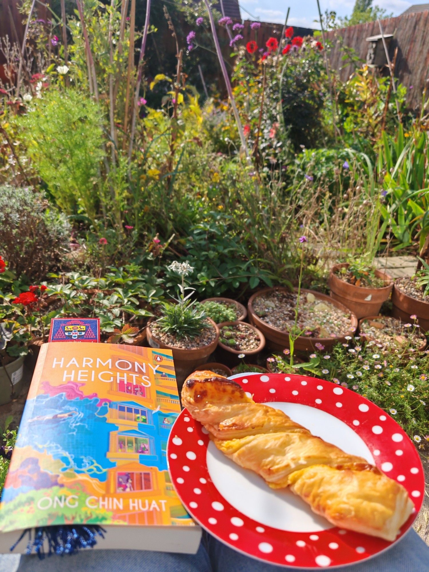 A Harmony Heights book by Ong Chin Huat with cheese twist roll on a plate backdropped by garden which is still full of different perennials and potted alpines, some of which are still flowering