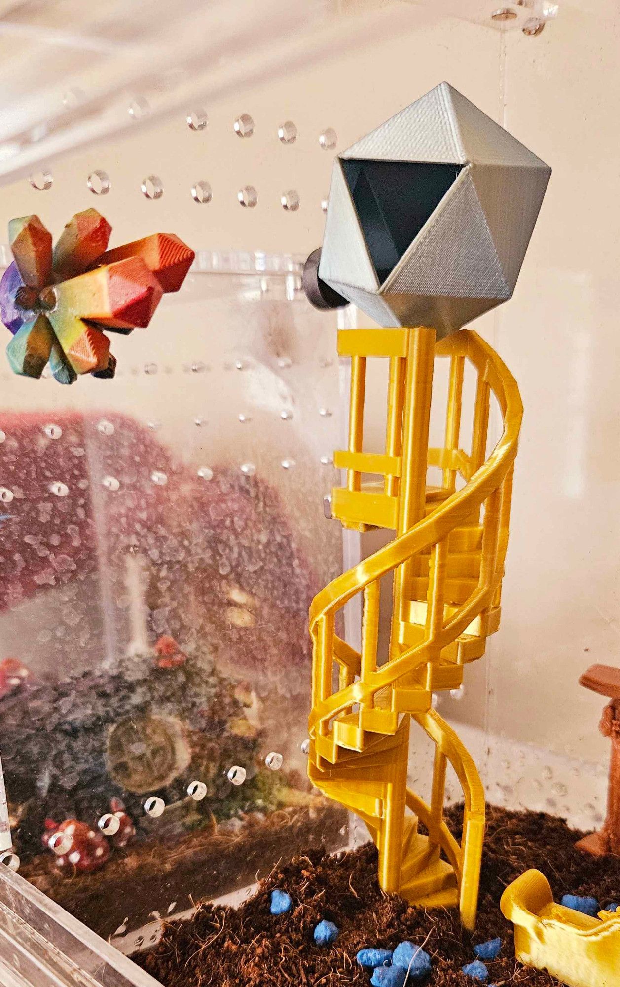 An acrylic jumping spider enclosure with a golden spiral staircase, a silver icosogon-shaped hide at the top of the stairs, and a rainbow crystal sticking out of the wall