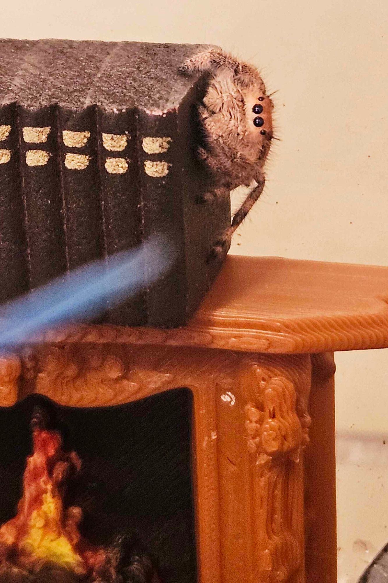 A regal jumping spider perched on some tiny fake wooden books on the mantle of a tiny 3-D printed fireplace