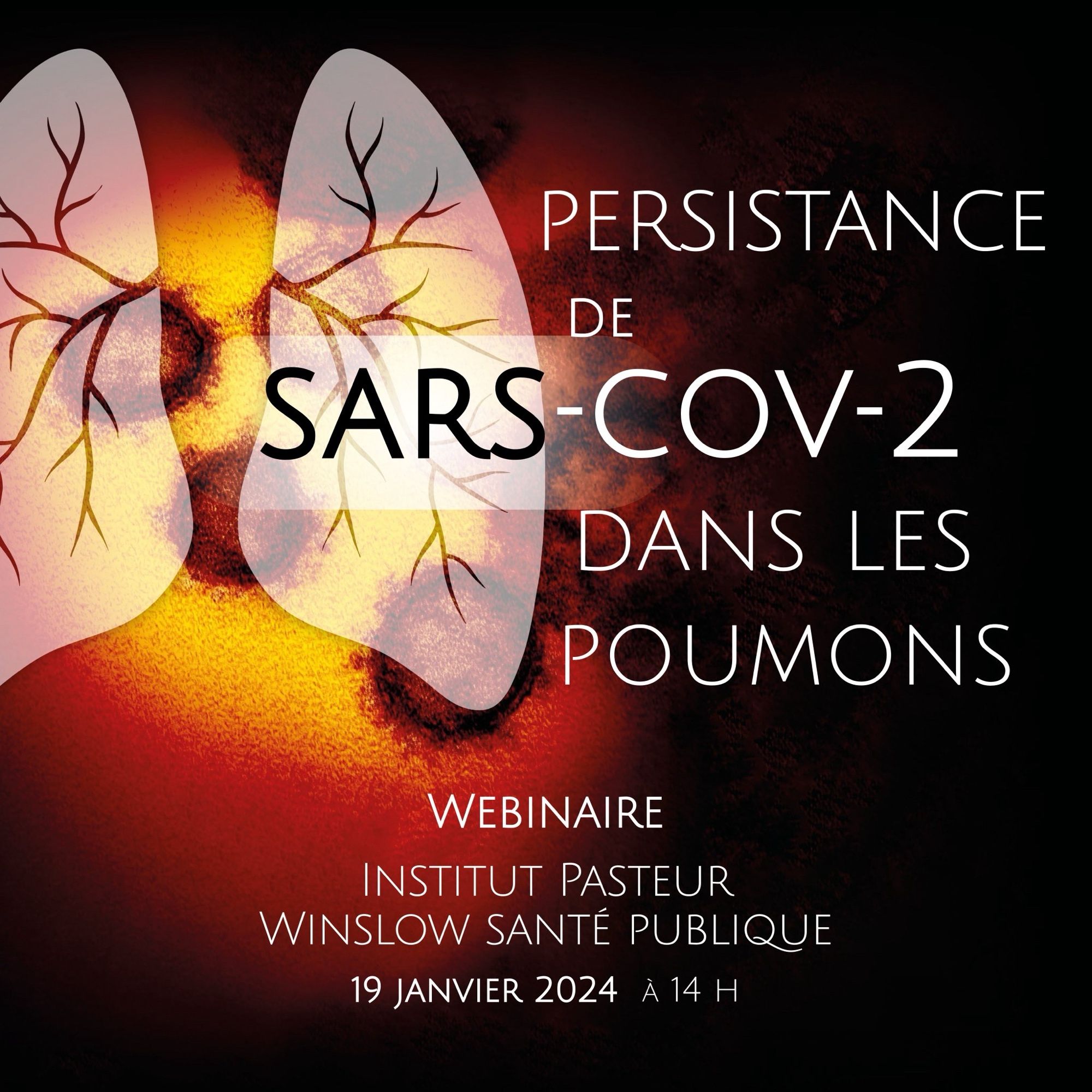 Image de SARS-CoV-2 sous une représentation schématique de poumons.
Texte : PERSISTANCE DE SARS-COV-2 DANS LES POUMONS
WEBINAIRE
INSTITUT PASTEUR — WINSLOW SANTE PUBLIQUE
19 JANVIER 2024 À 14 H