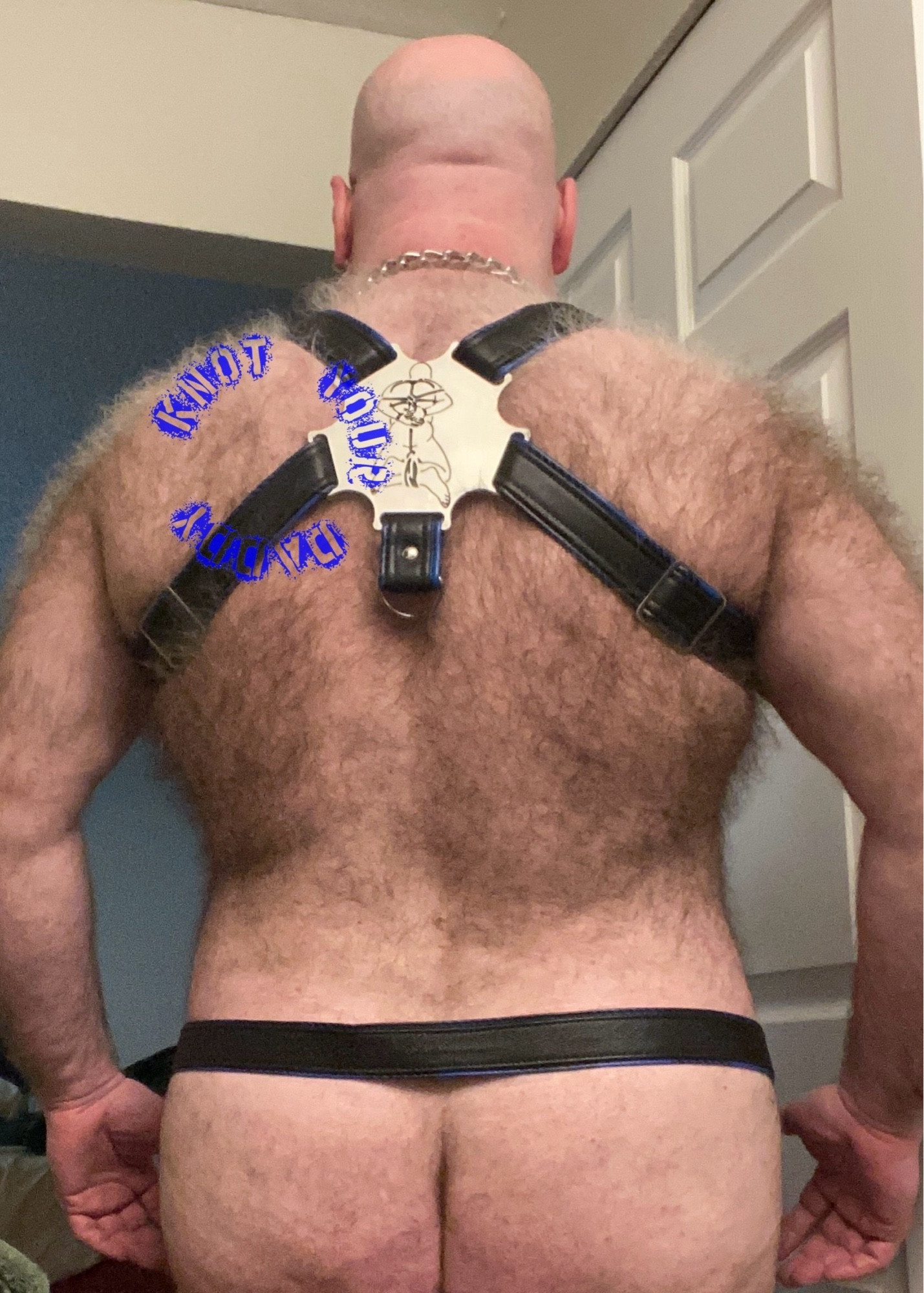 Daddy is wearing a full harness, seen from the back.