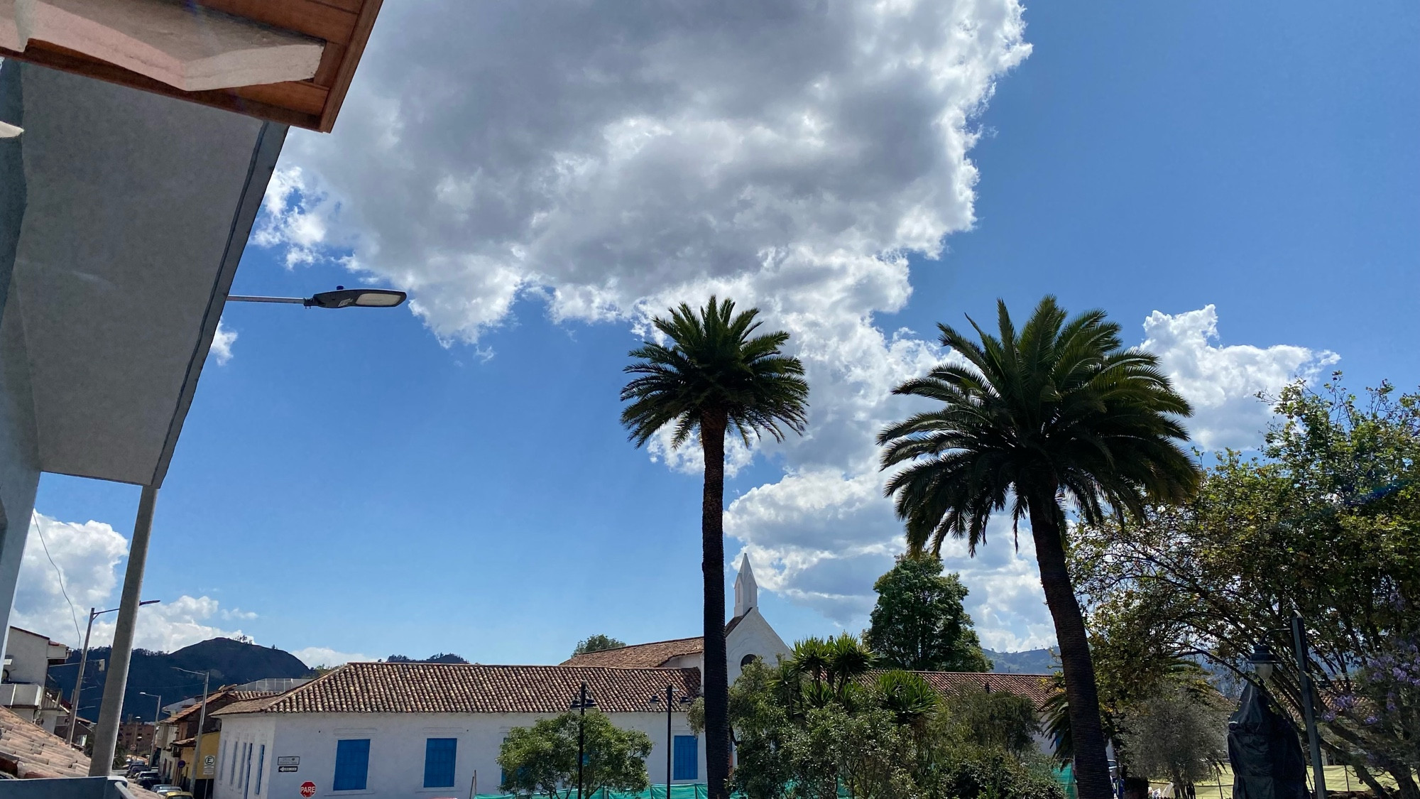 the white, colonial building of the museum of modern art in cuenca from a distance with some palm trees in front. 