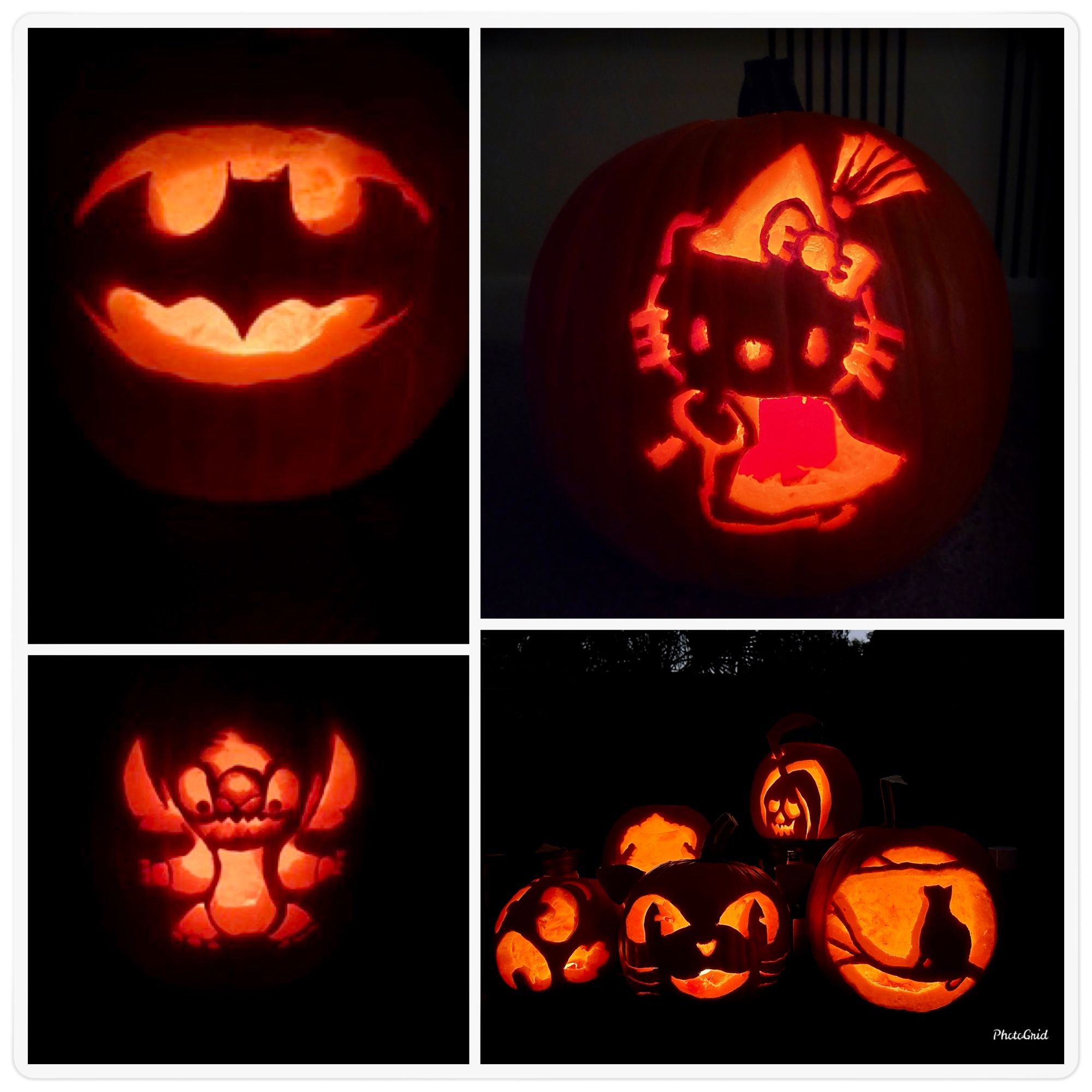 Vote for Team Blue! Pumpkins featuring the bag call, Stitch, Miss Kitty, and lots of cats!