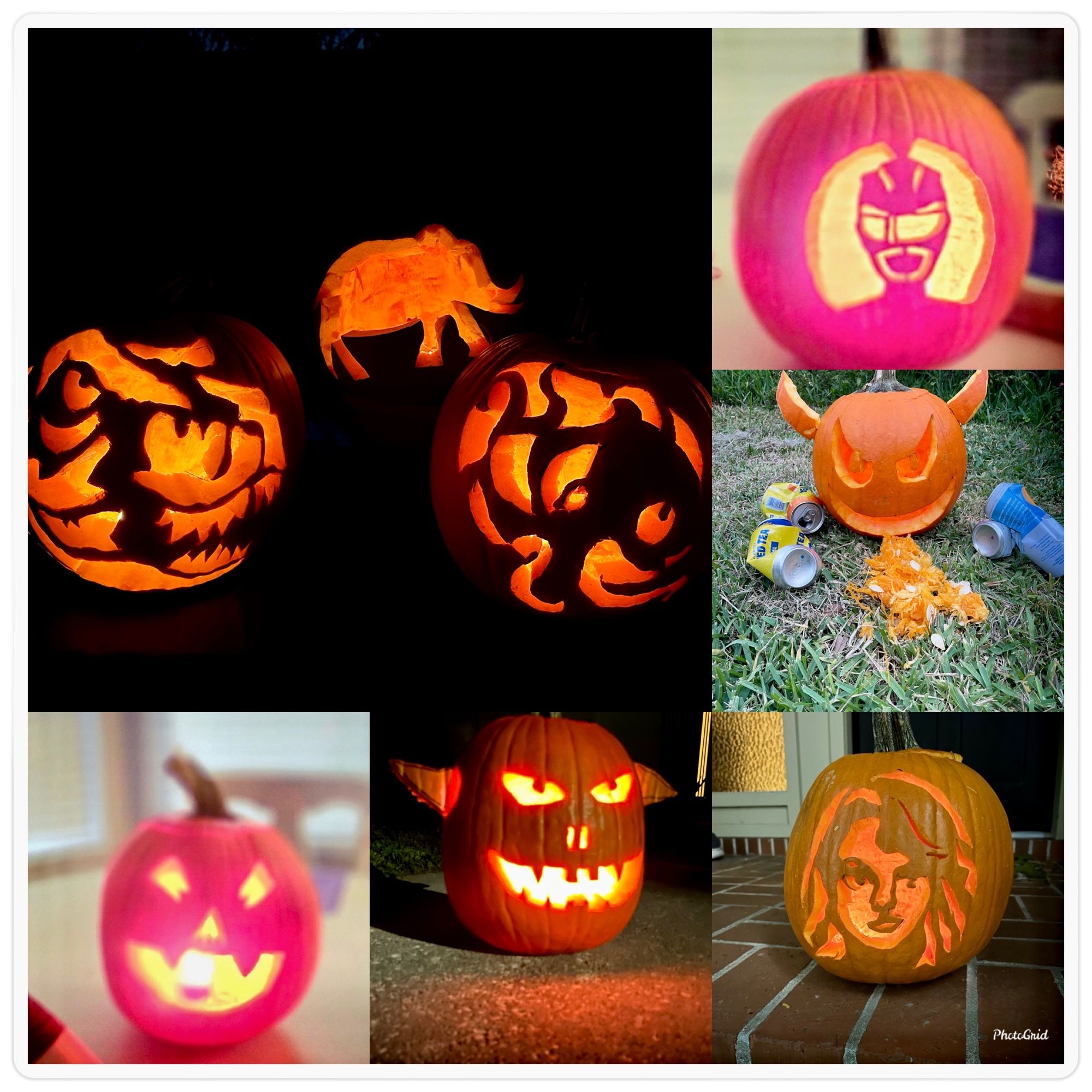 Vote for Team Orange! Pumpkins featuring an elephant, Taylor Swift, and some dubious animal depictions