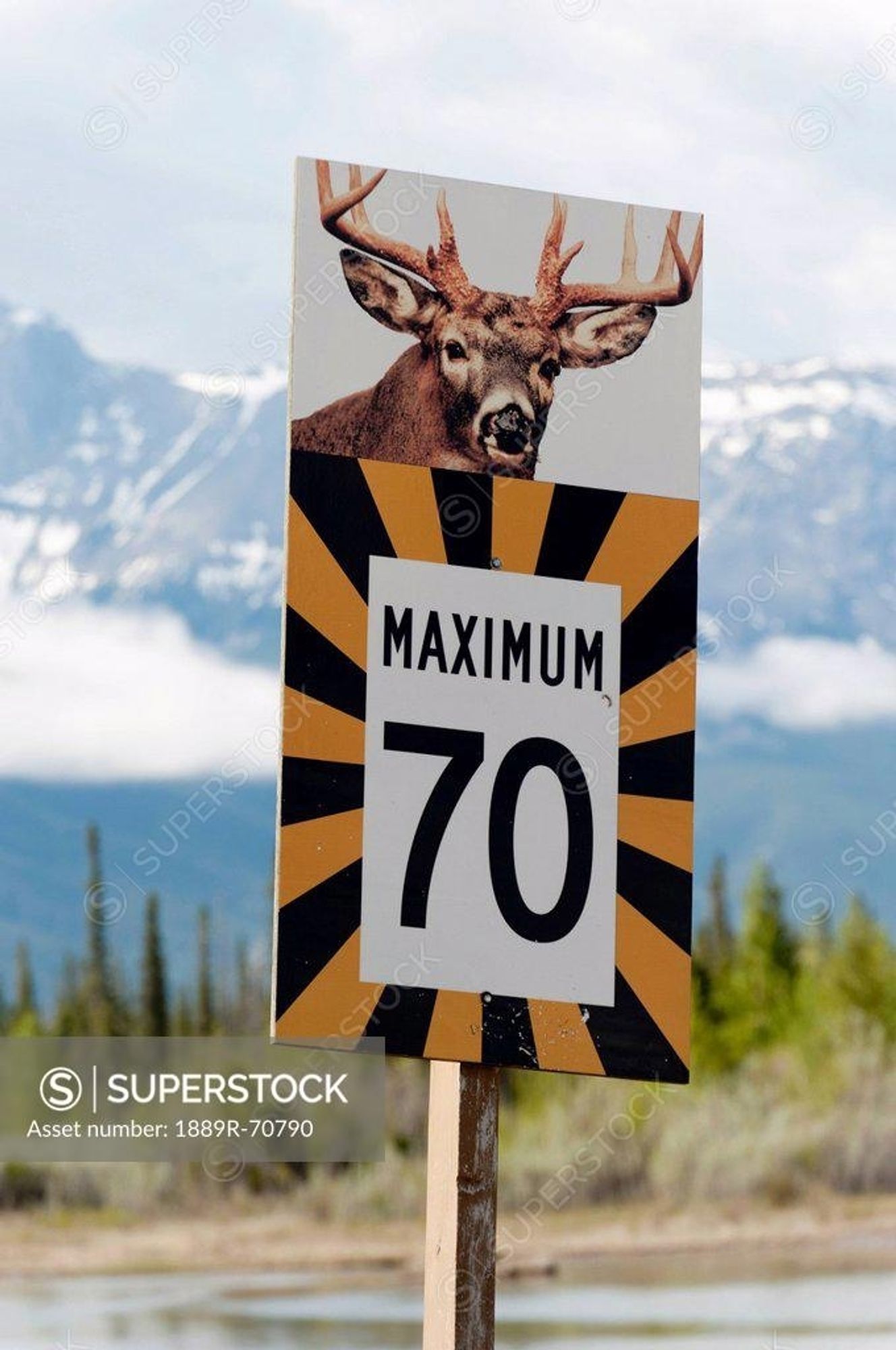 Stock image of a sign that has an image of a deer on top of "MAXIMUM 70" that is surrounded by black and yellow warning stripes. There is snowy mountains and forest in thr background.