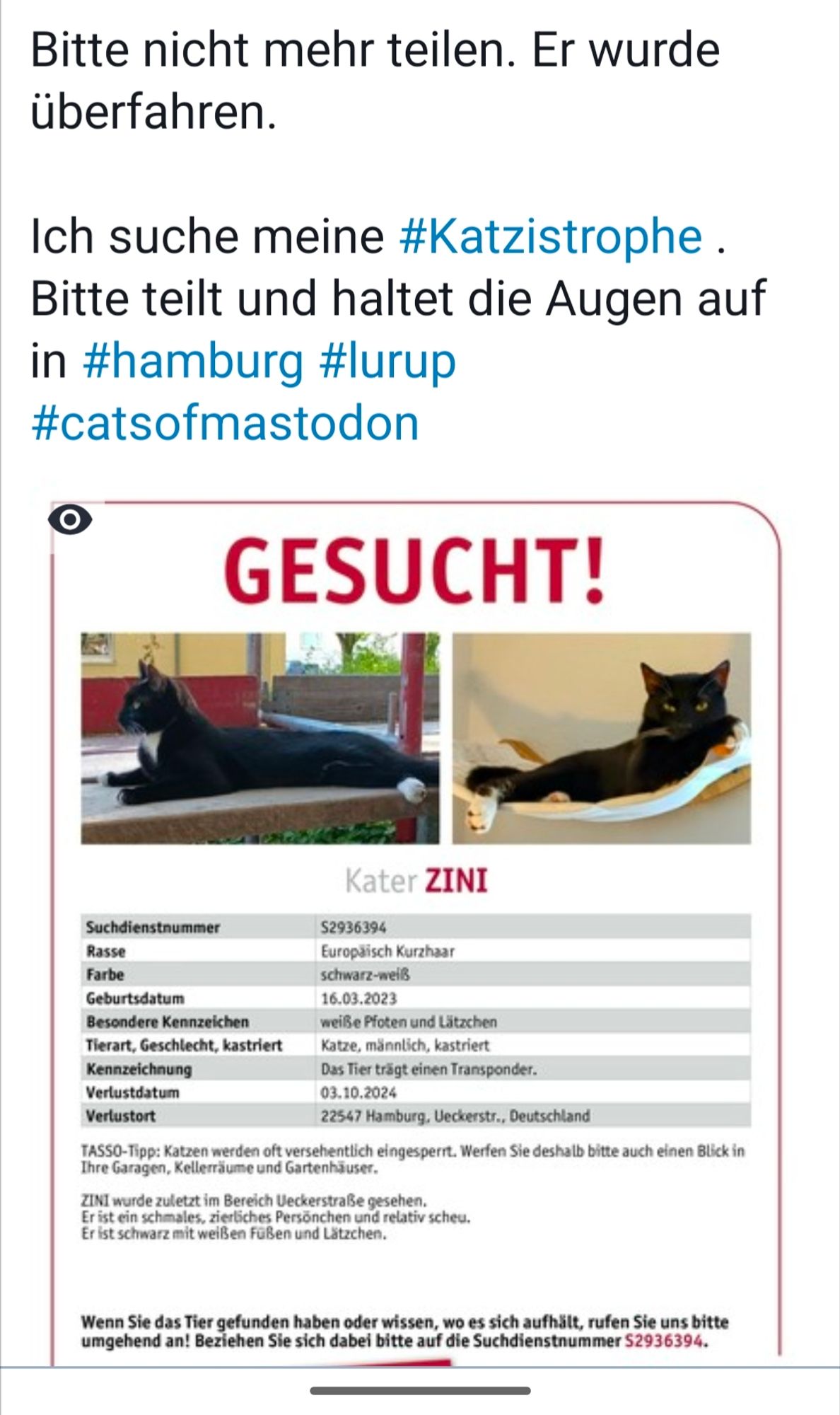 Duchauftuf von Tasso aus Hamburg