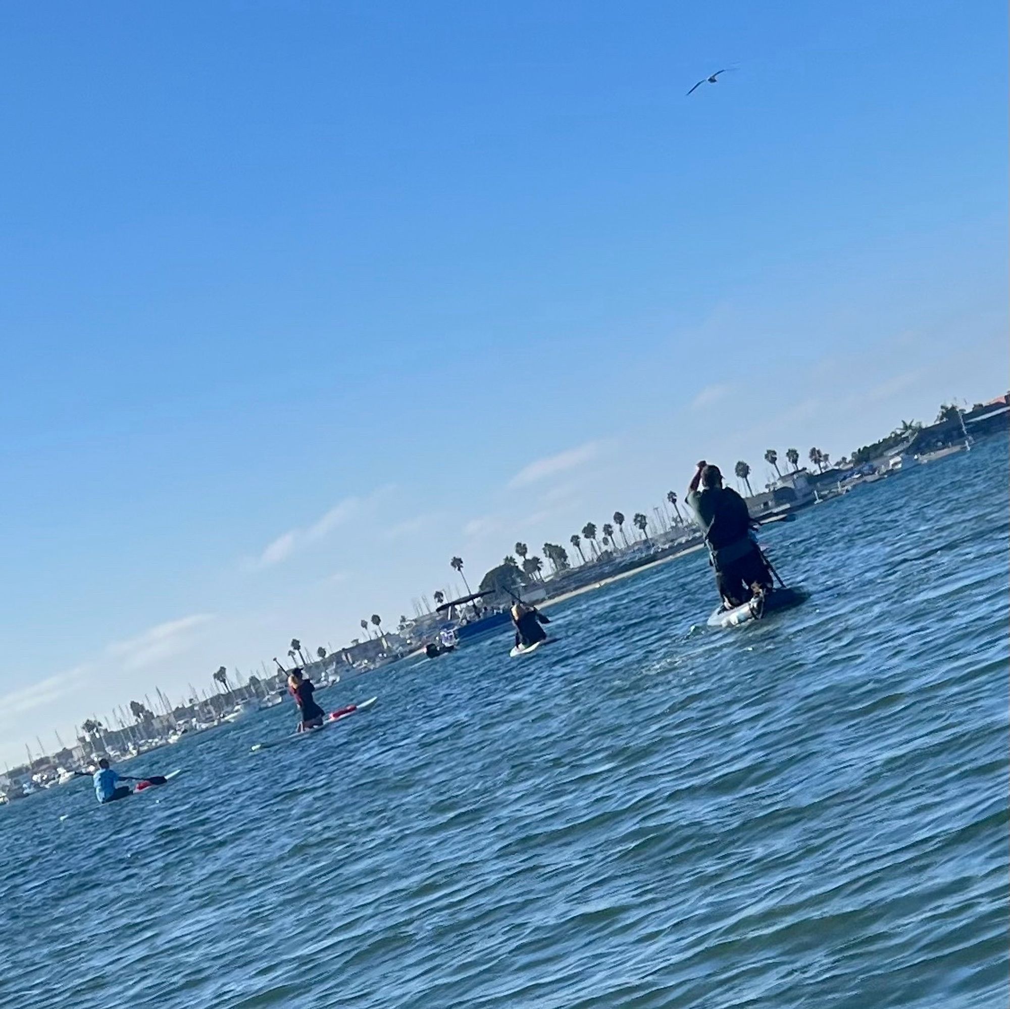 A Dutch angle shot of a group of paddlers who are all part of our group. I am being them, they are facing away. The water is choppy so we’re sitting down. There is a party boat and a harbor in the distance with boats in a row