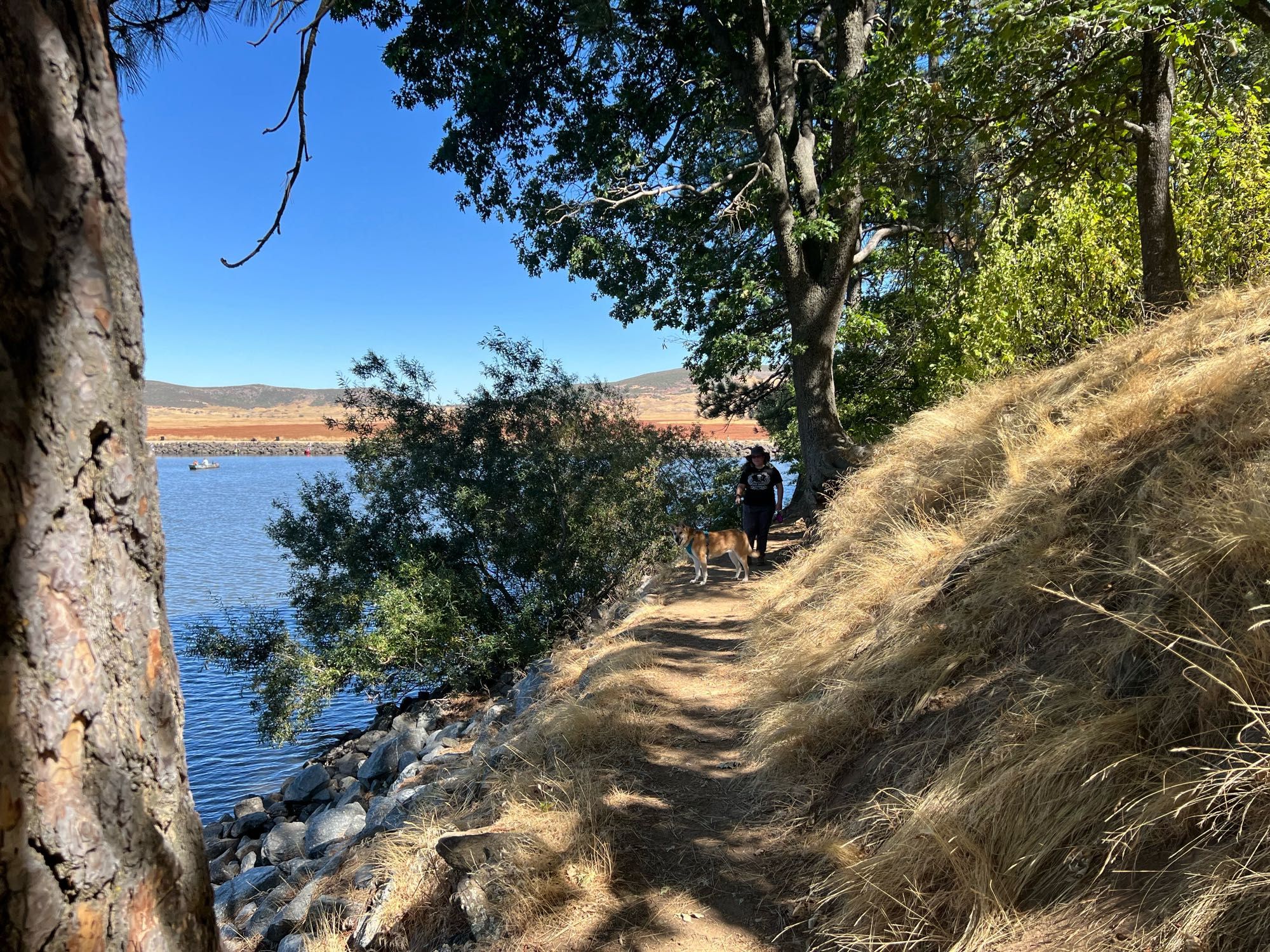 Me and my dog walking along a narrow oak lined ridge along a lake. Lake is to the left, steep grassy hill to the right.