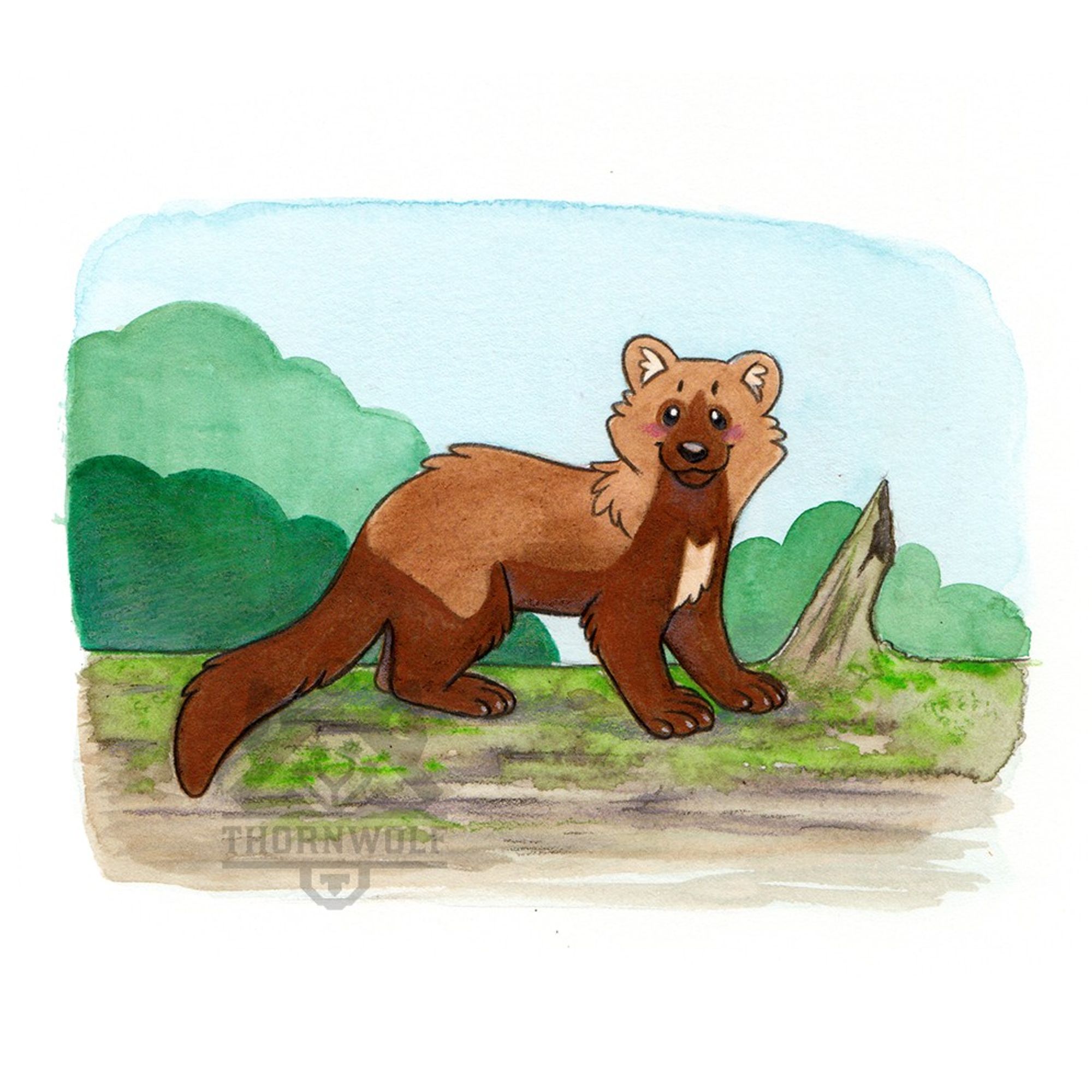 A fisher (mustelid) standing on a mossy log. Body is facint right, face is looking at the viewer. It is drawn in a simplistic children's book style.