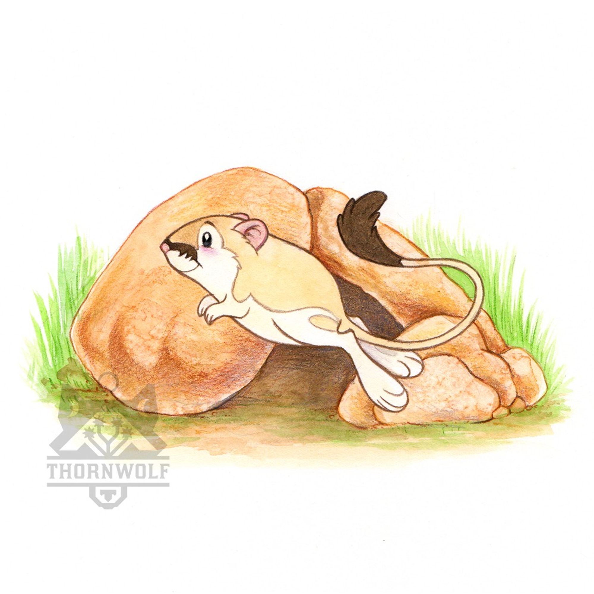 A simplified chibi kangaroo rat drawn in watercolor and colored pencil in mid-jump facing left. Behind the kangaroo rat is some stacked rocks that appears to be its hidey hole.