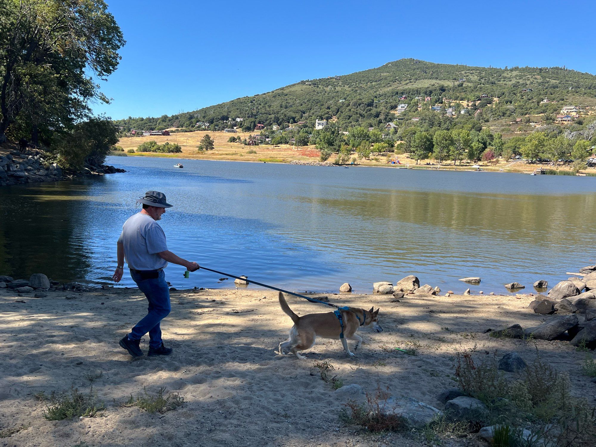 The same lake background as previous picture but you can see more of a tree lined hill on the opposite bank. The man is being wildly dragged by a lunging dog who has seen a squirrel to the right of the frame