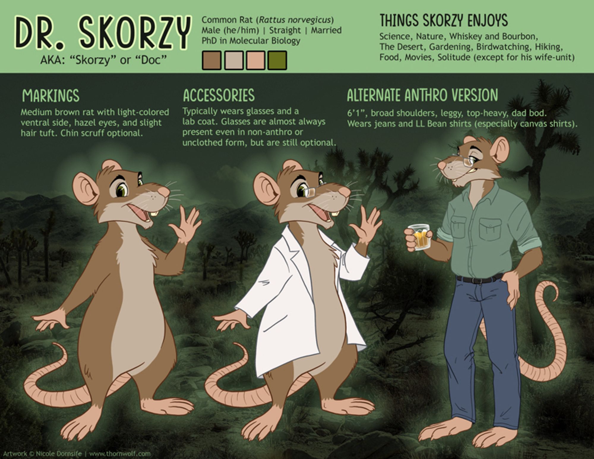 A character reference sheet of an anthro rat named Dr. Skorzy showing his markings