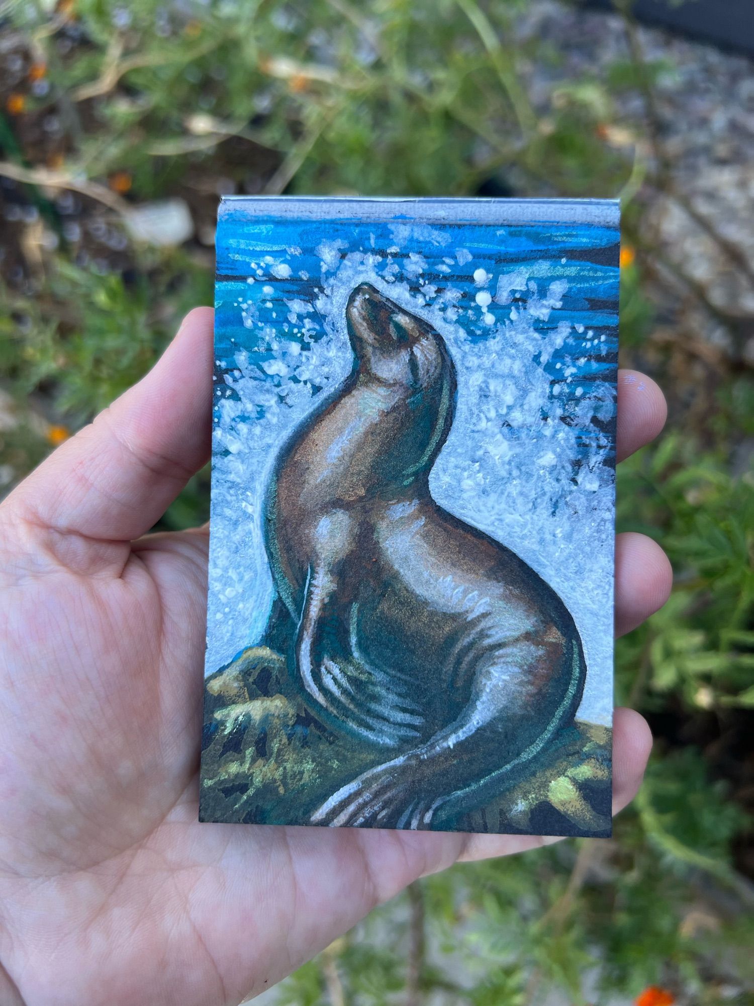 An ACEO (2.5”x3.5”) painting of a sea lion sitting on a rock with sea spray behind it