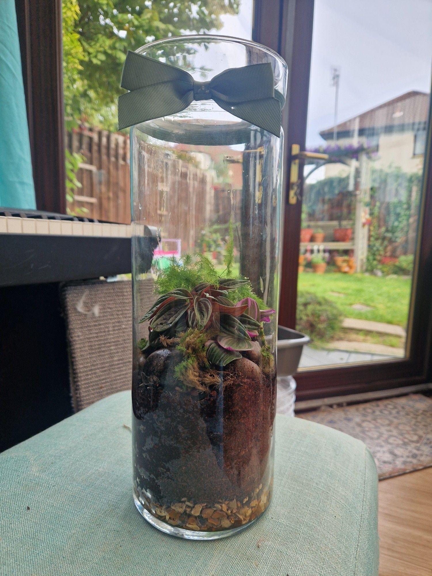 A little terrarium in an orchid vase