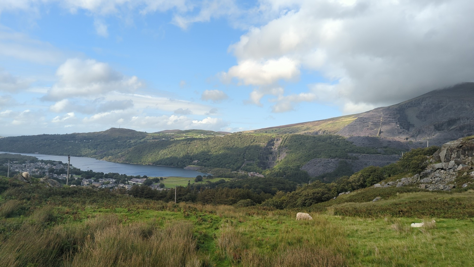 View from yr wyddfa. Green hills. Some sheep. A lake. Blue sky with clouds