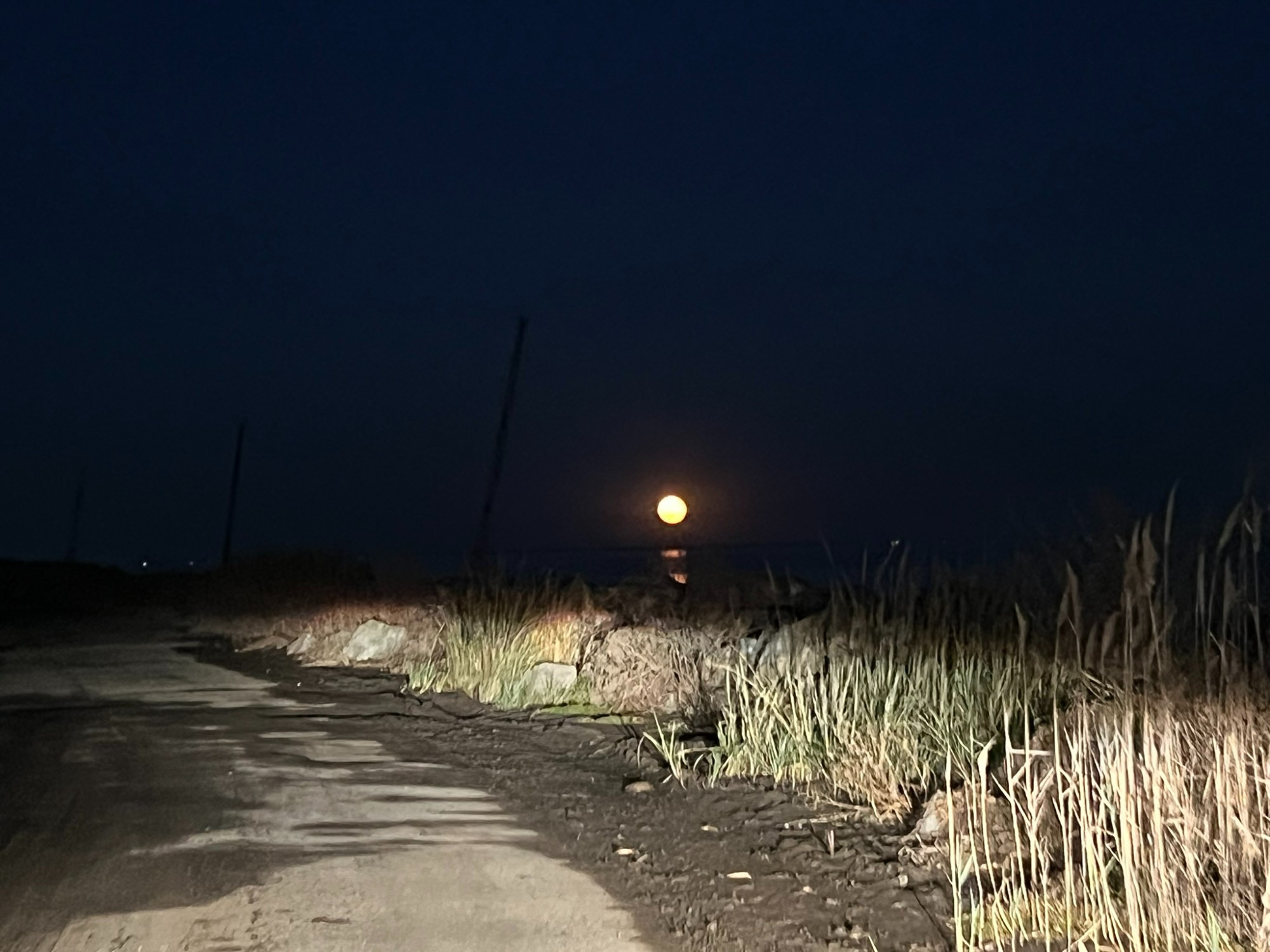 An almost full moon rises over the Delaware Bay - the road is illuminated by my headlights. 