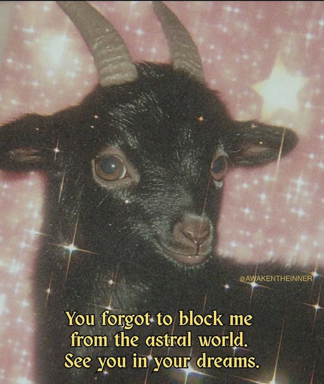 Baby black goat in sparkles! Meme text:
You forgot to block me from astral world.
See you in your dreams.