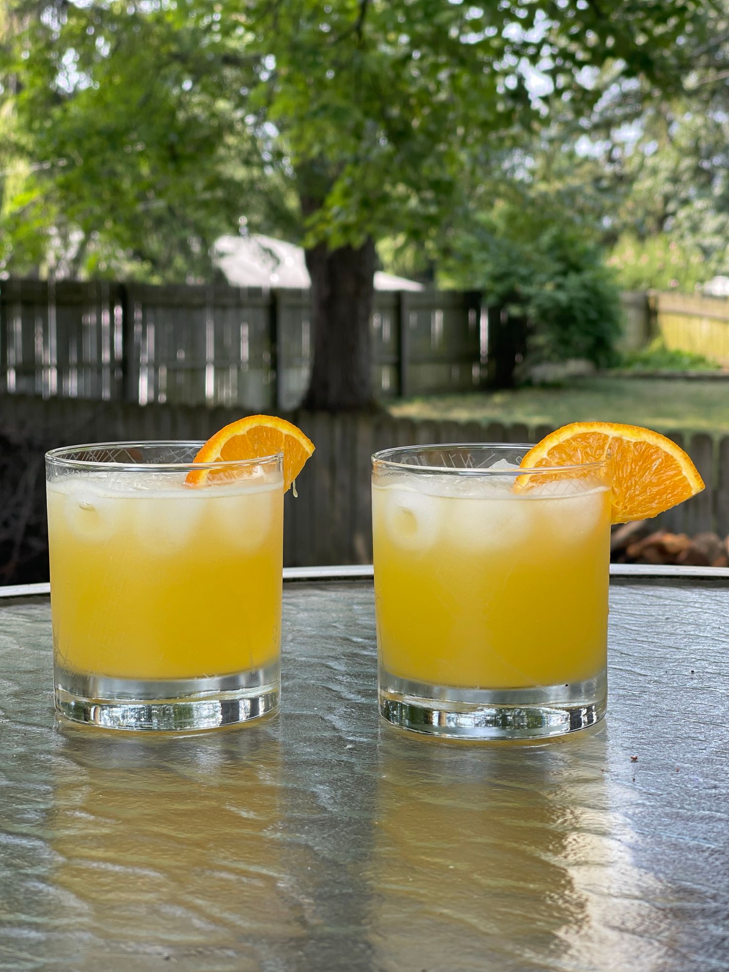 Two glasses of orange cocktail with ice and orange slices on the rim, placed on a glass table with a backyard in the background.