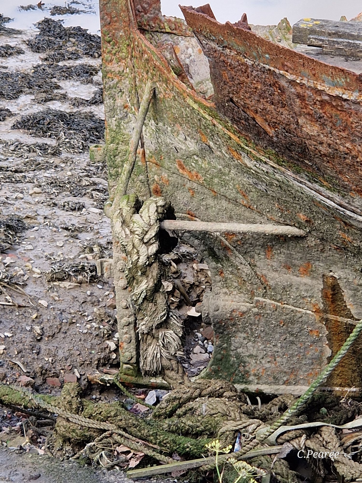 Close up photo of the bow, showing the ropes still hanging down into the mud. The upper housing is all rust coloured. It is sitting in mud with clumps of seaweed growing around it.