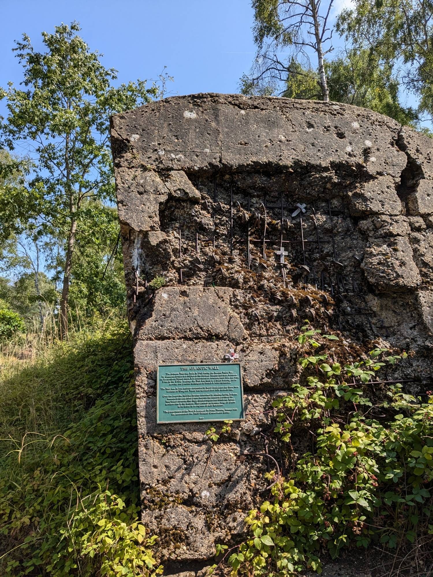 Canadian troops built this wall in 1943 to mimic Nazi anti-tank defences on the Northern French Atlantic coastline for training prior to the D-Day landings.